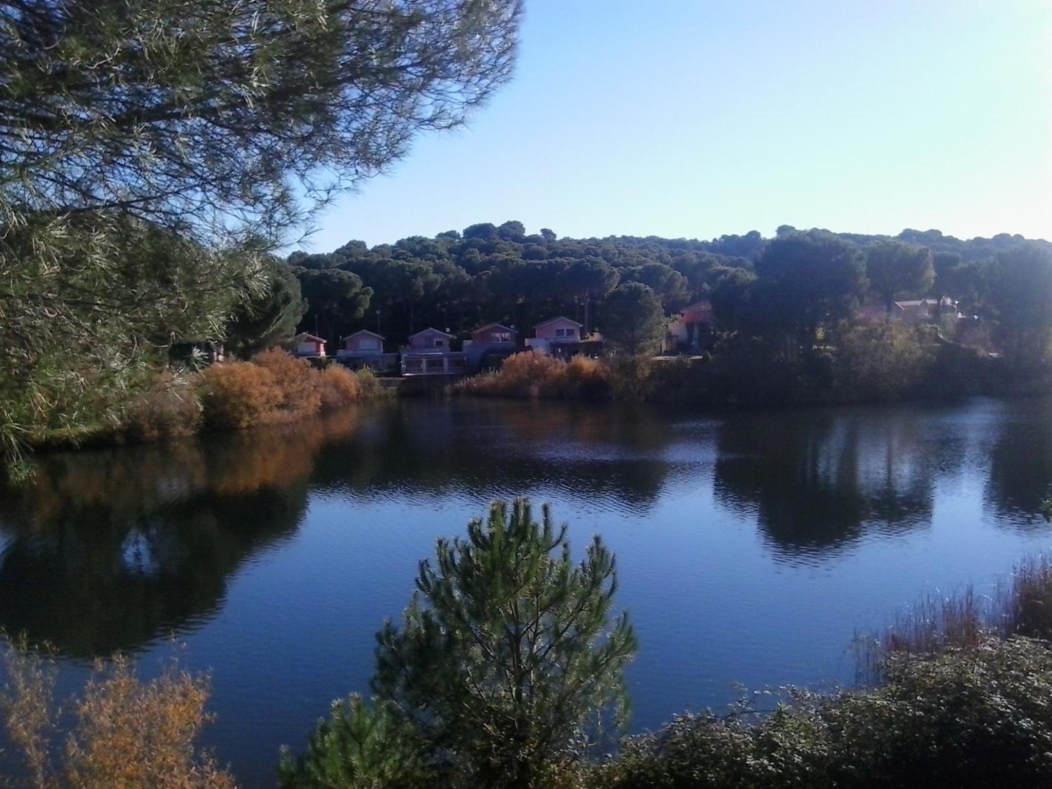 Photo 47