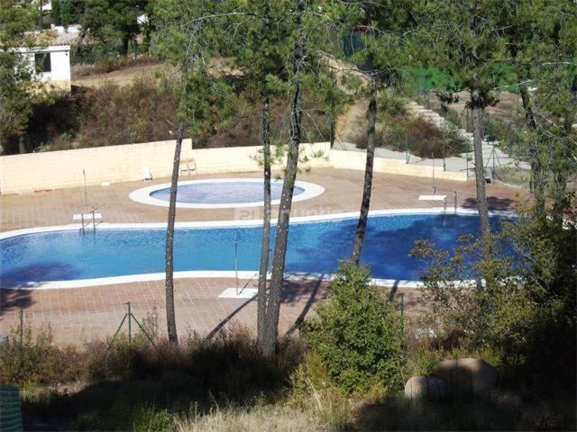 Photo 44
