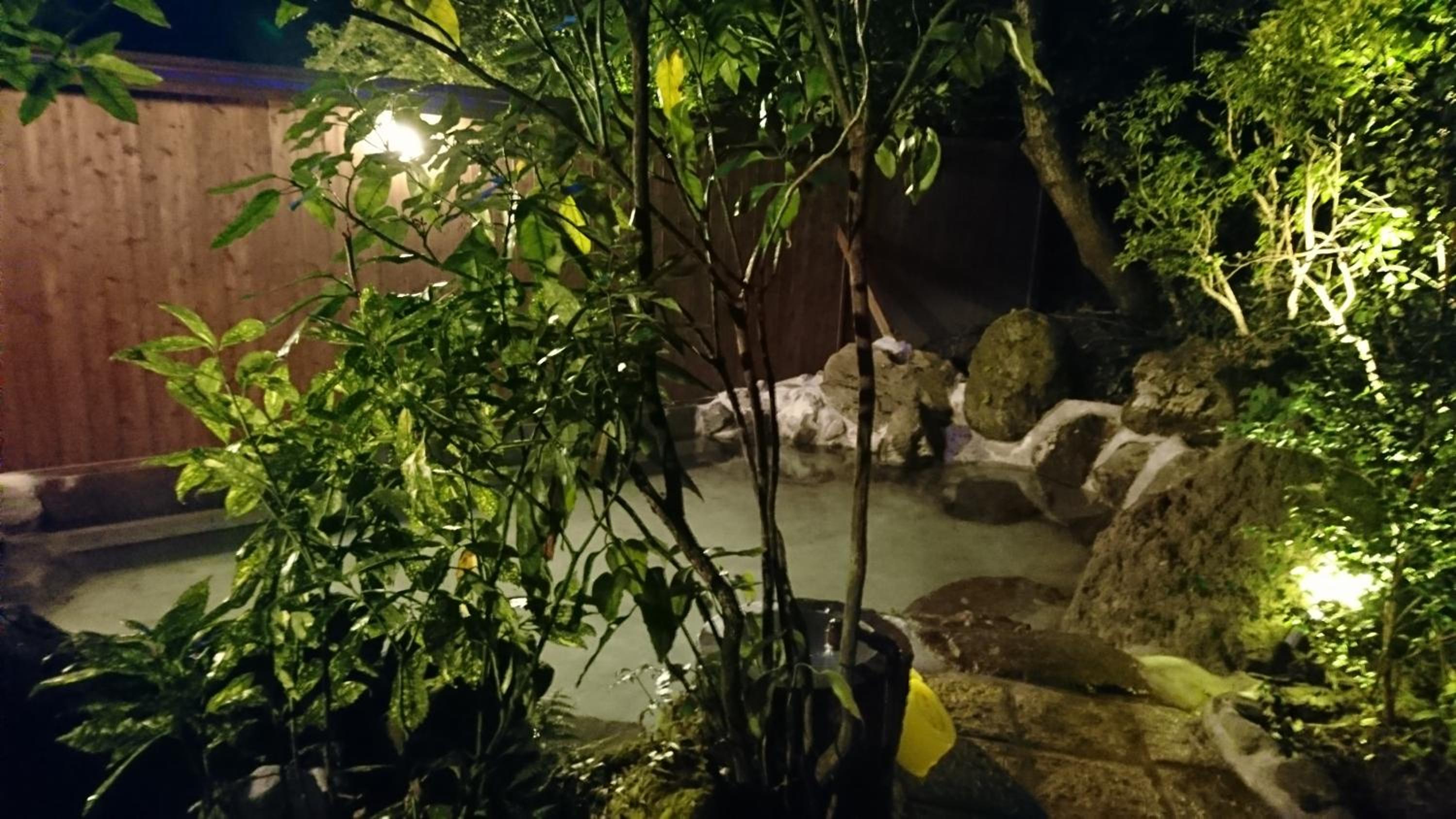 Photo 47
