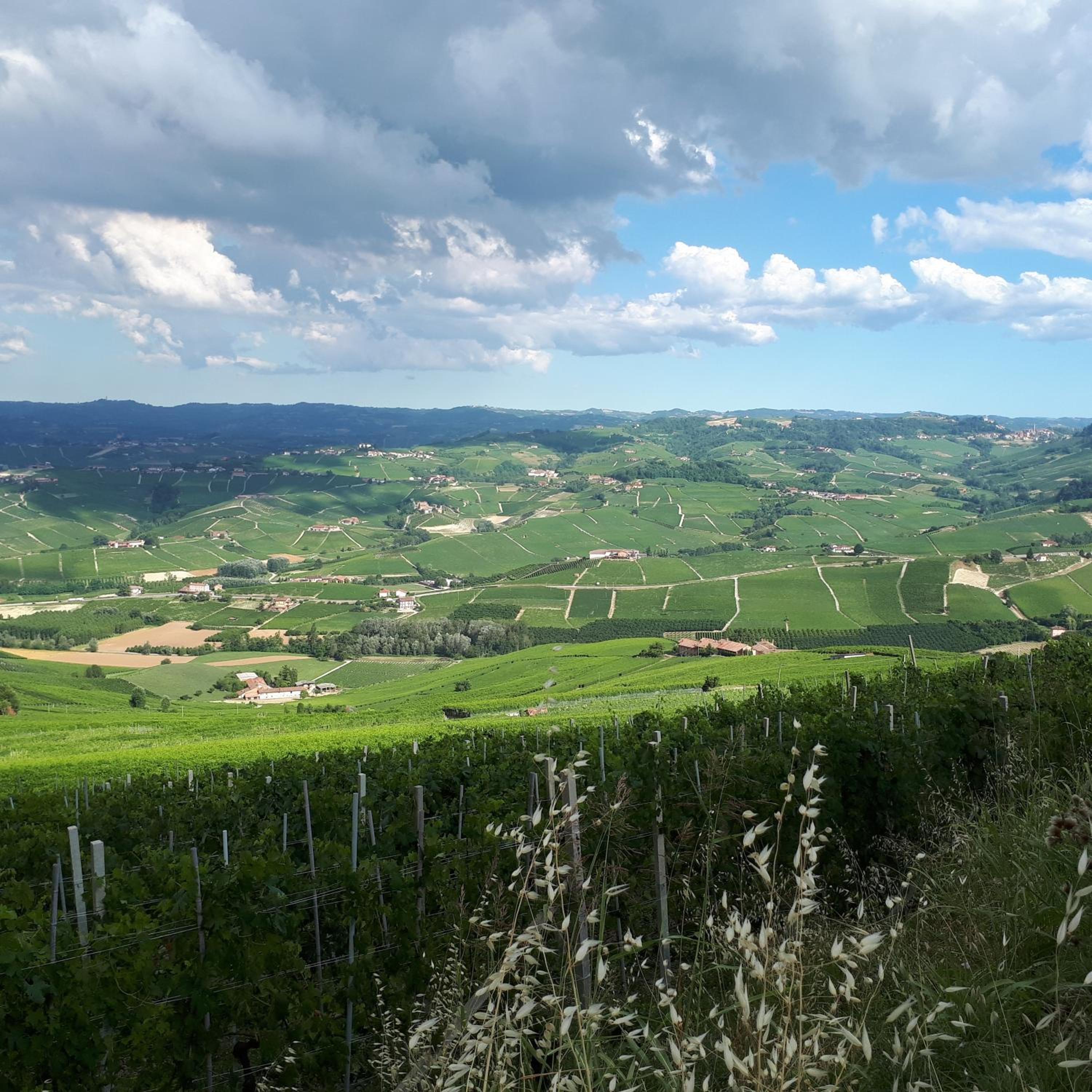 B&B Fior Di Farine