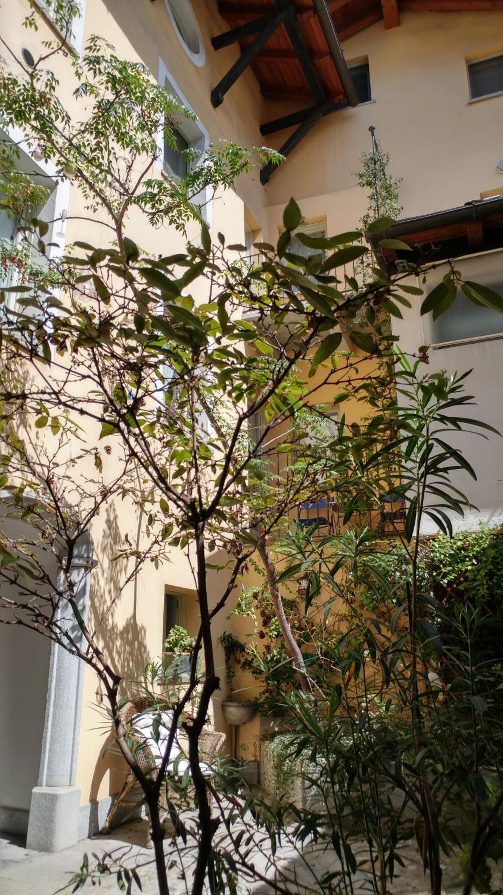 Balcony & Terrace