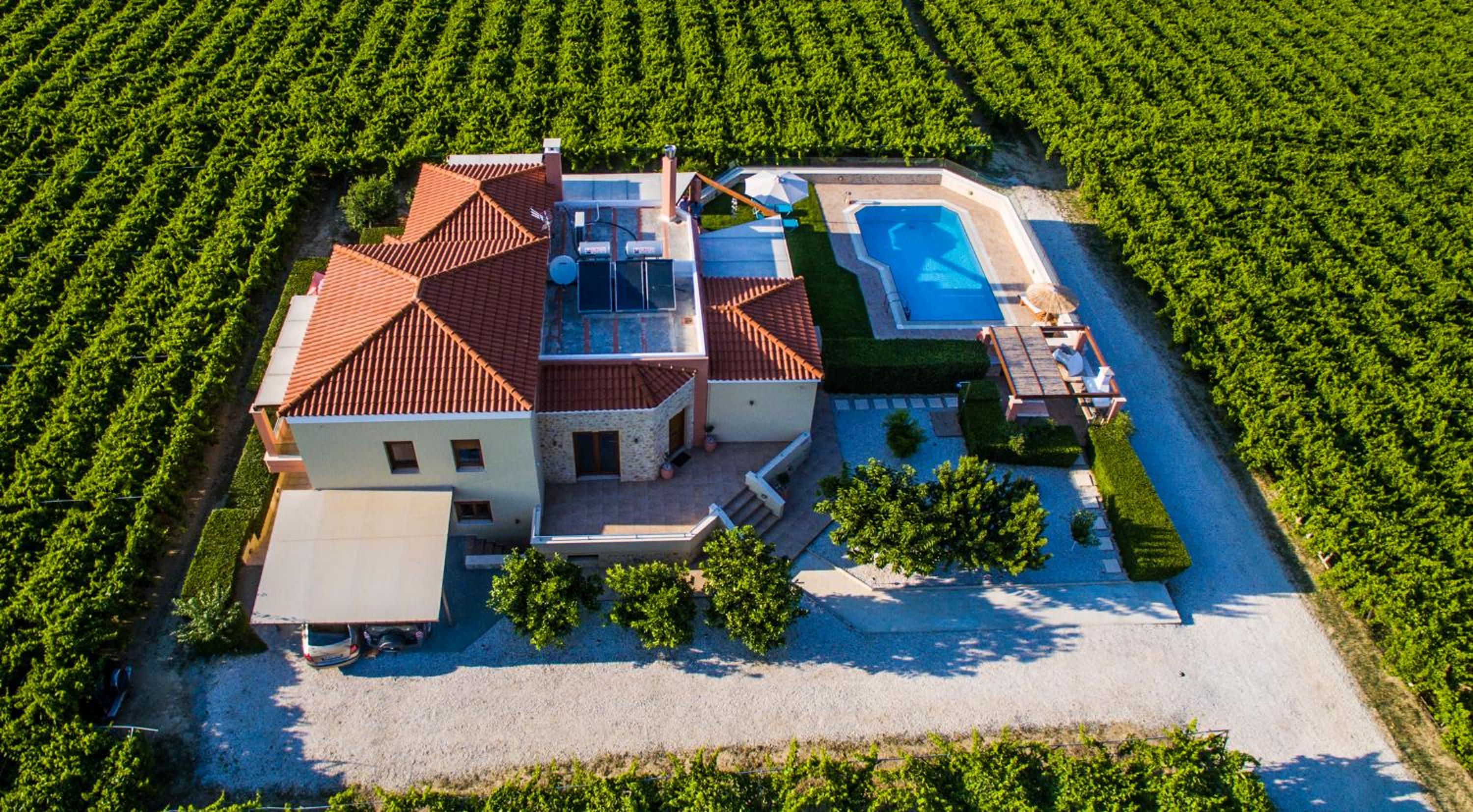 Cretan Vineyard Hill Villa view 4