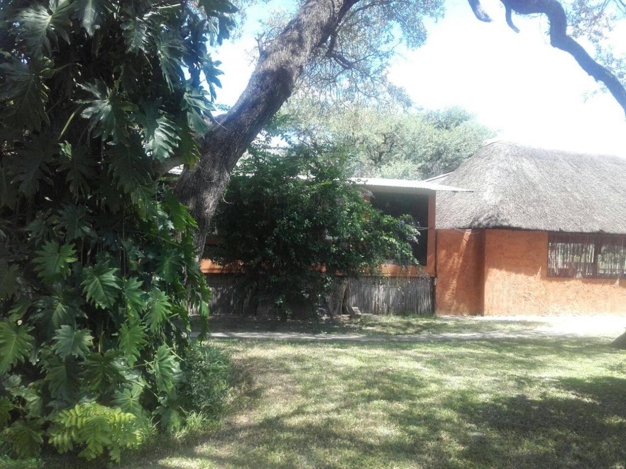 Photo 38