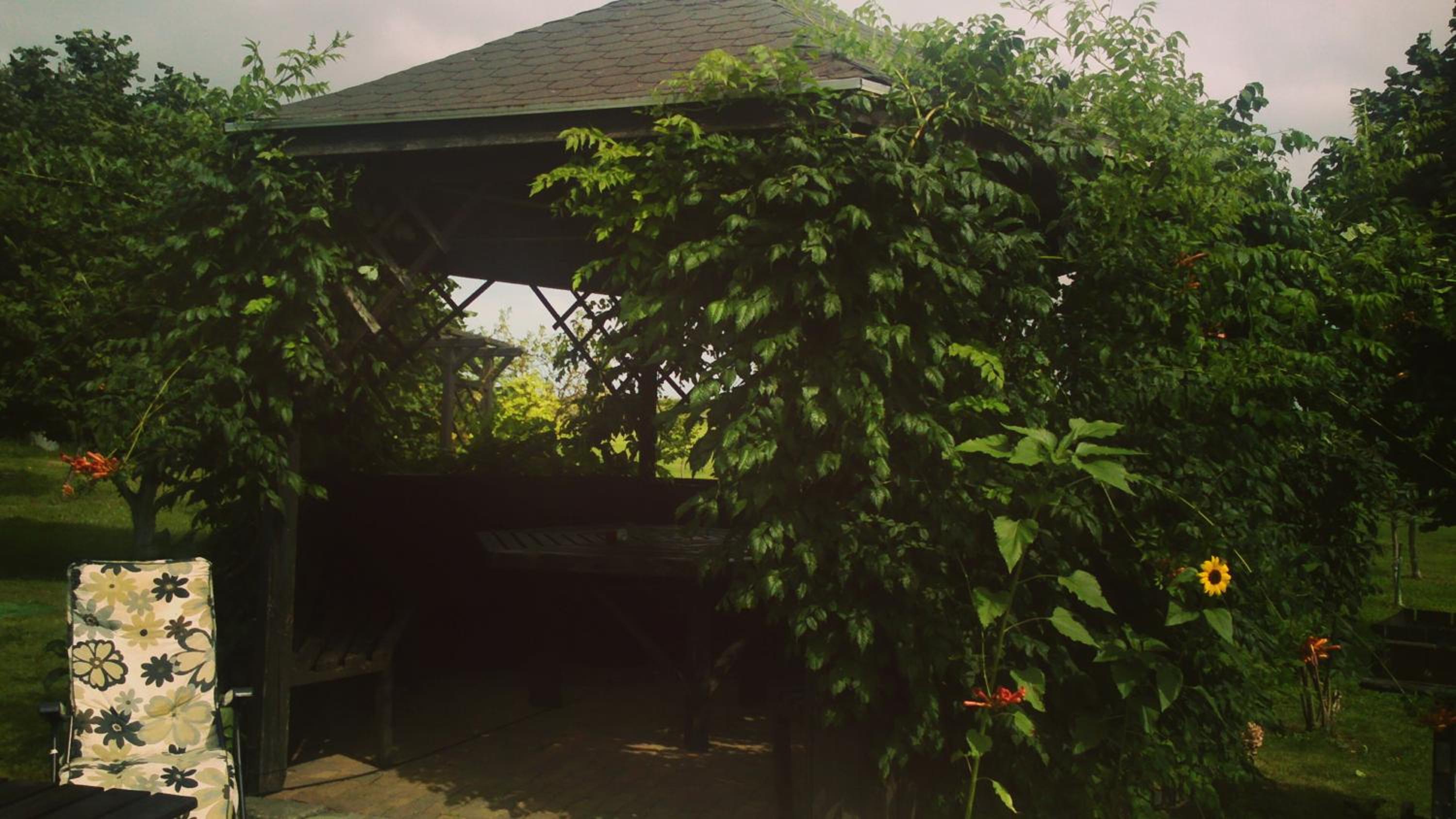 Agroturystyka Siołki view 5