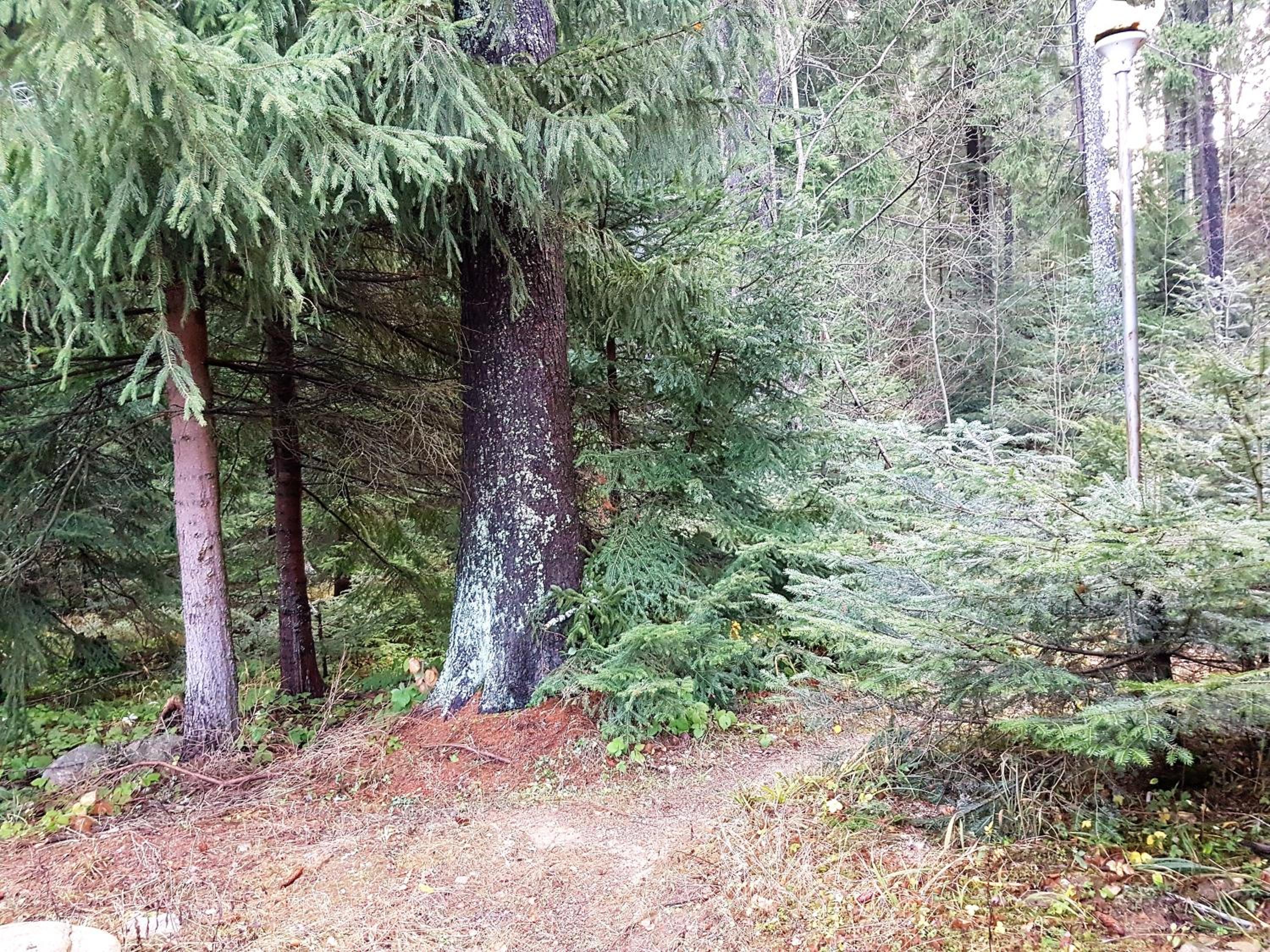 Photo 26