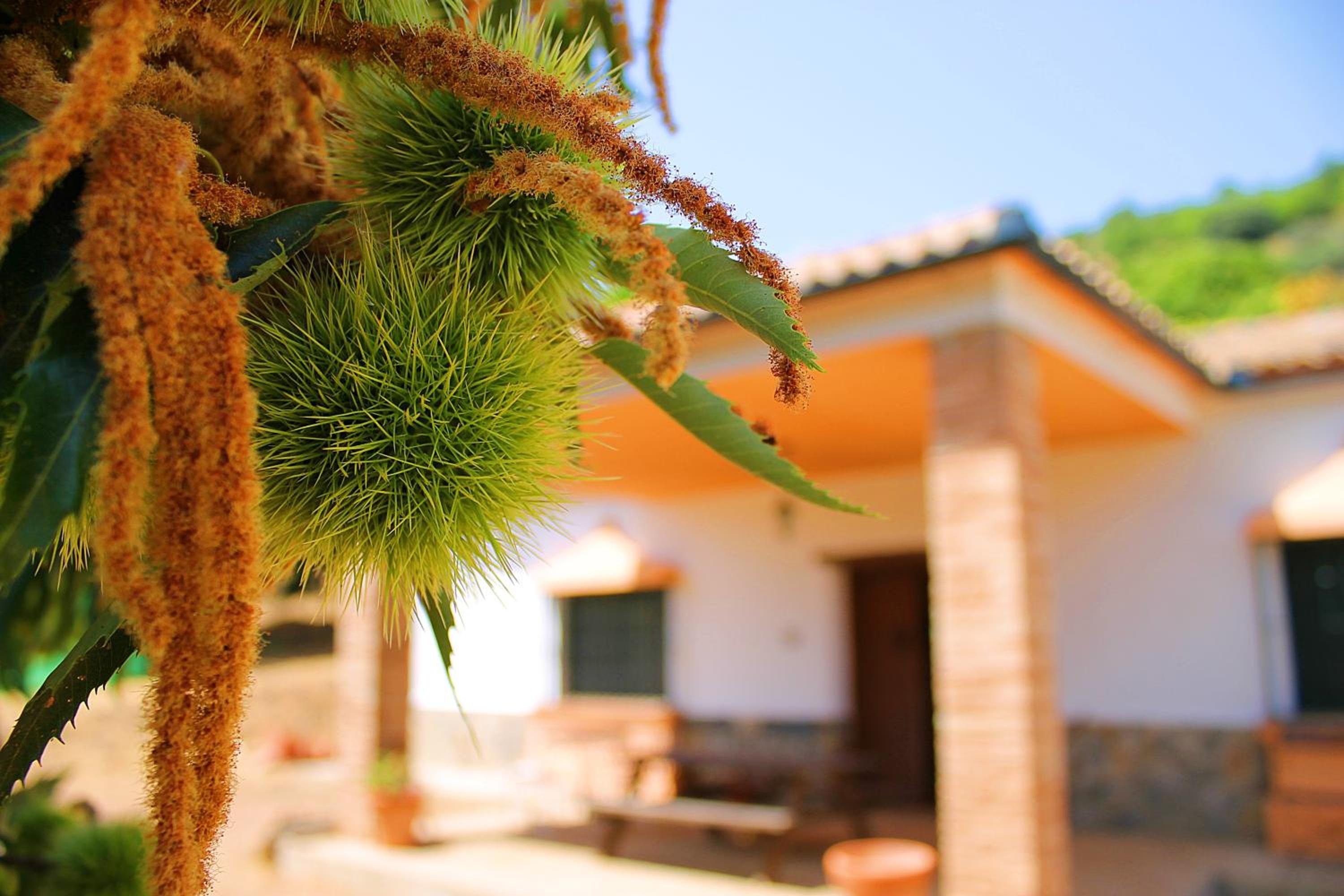 Casa Rural Molino de la Máquina