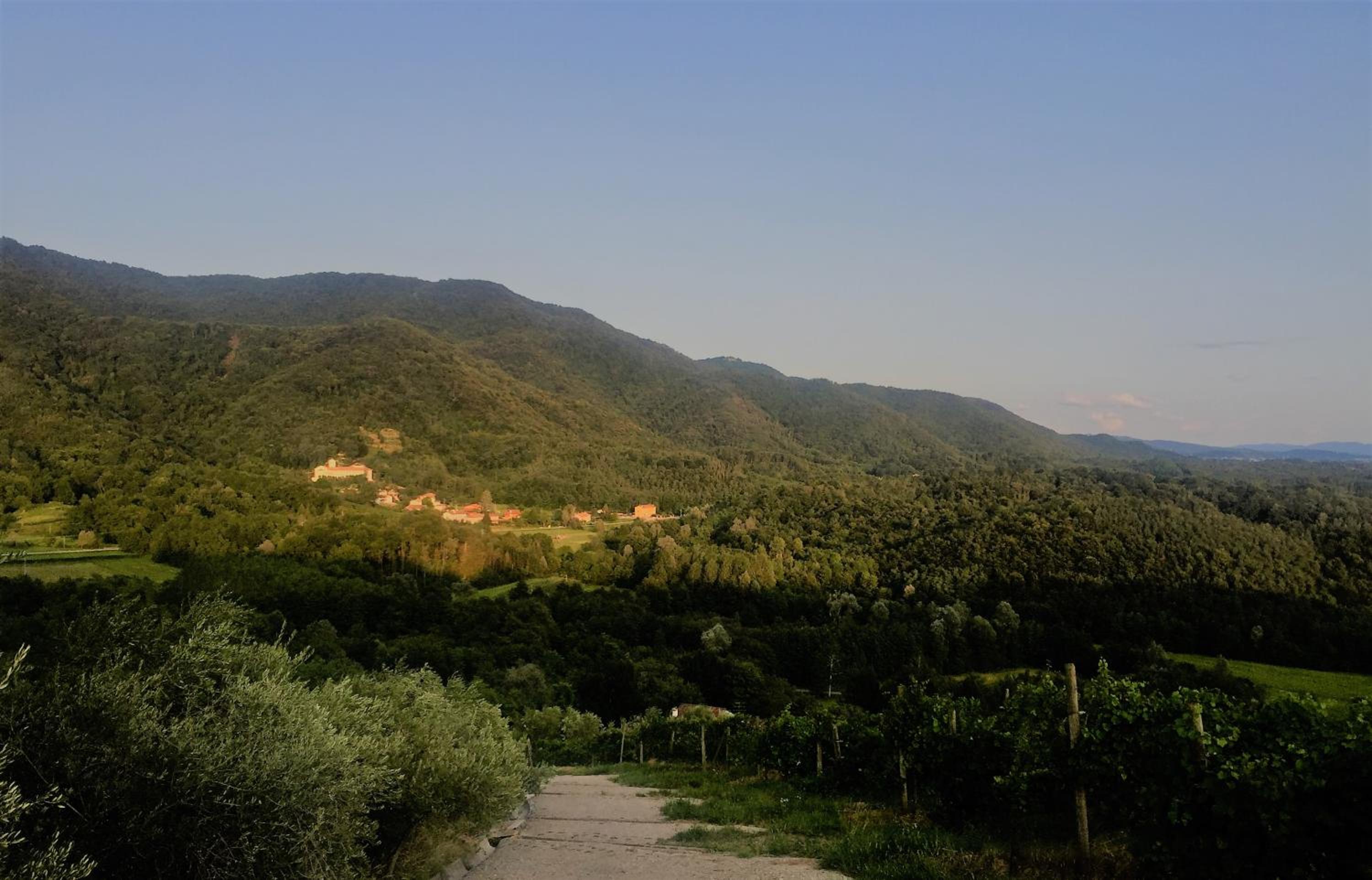 Tenuta Valdomini