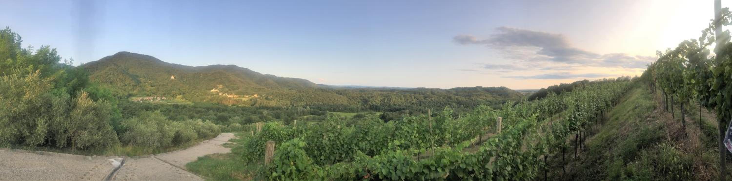 Tenuta Valdomini