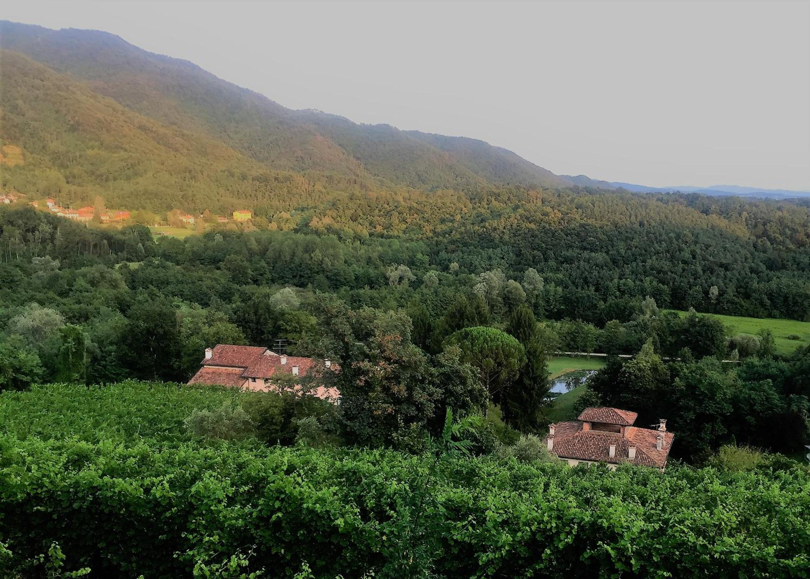 Tenuta Valdomini