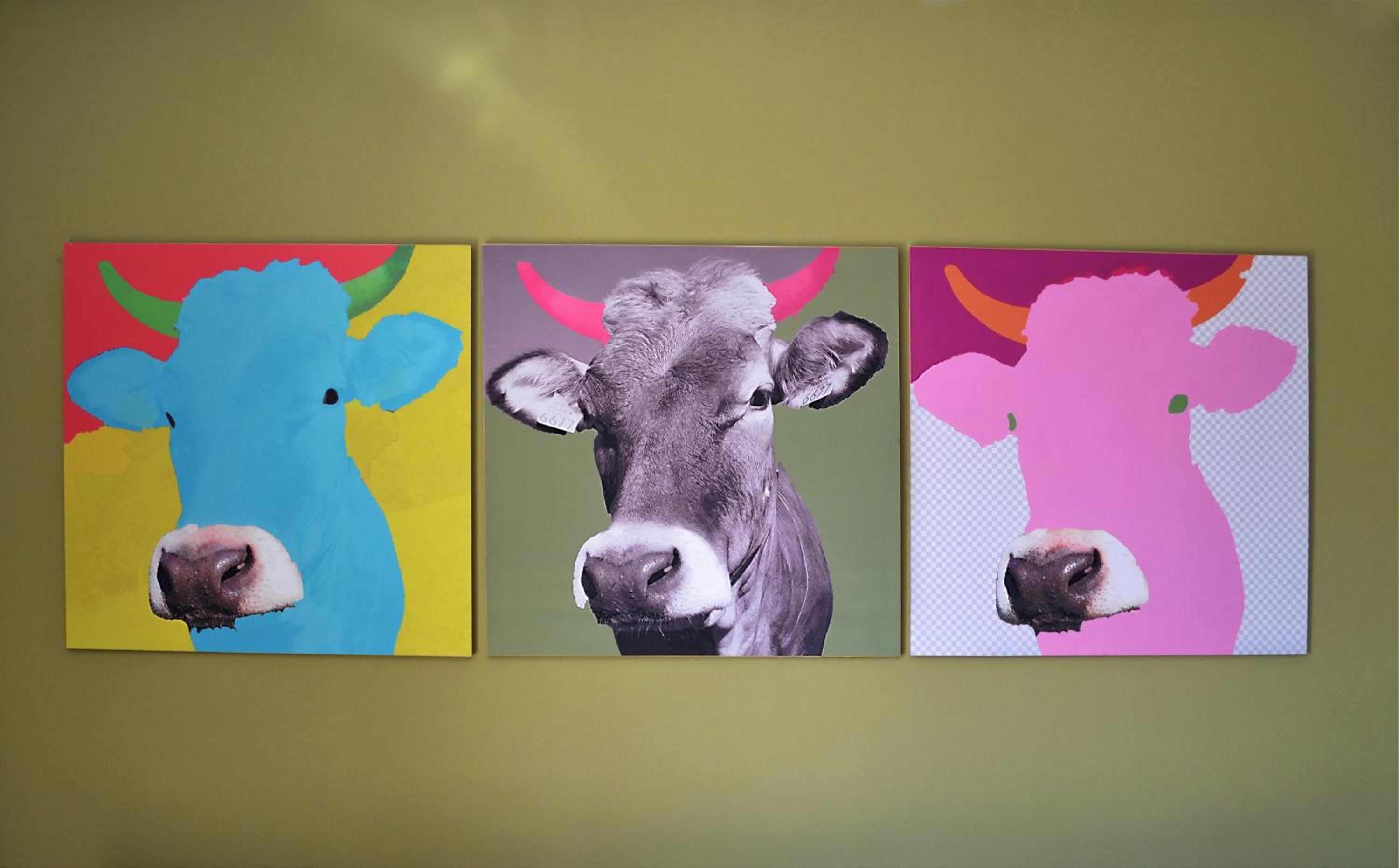 Photo 33