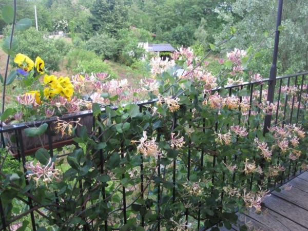 Photo 49
