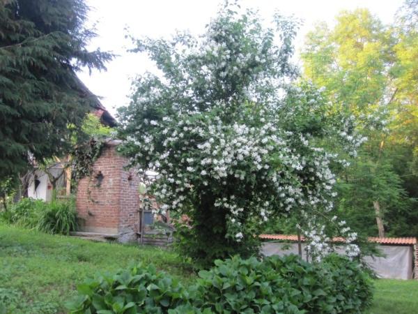 Photo 48