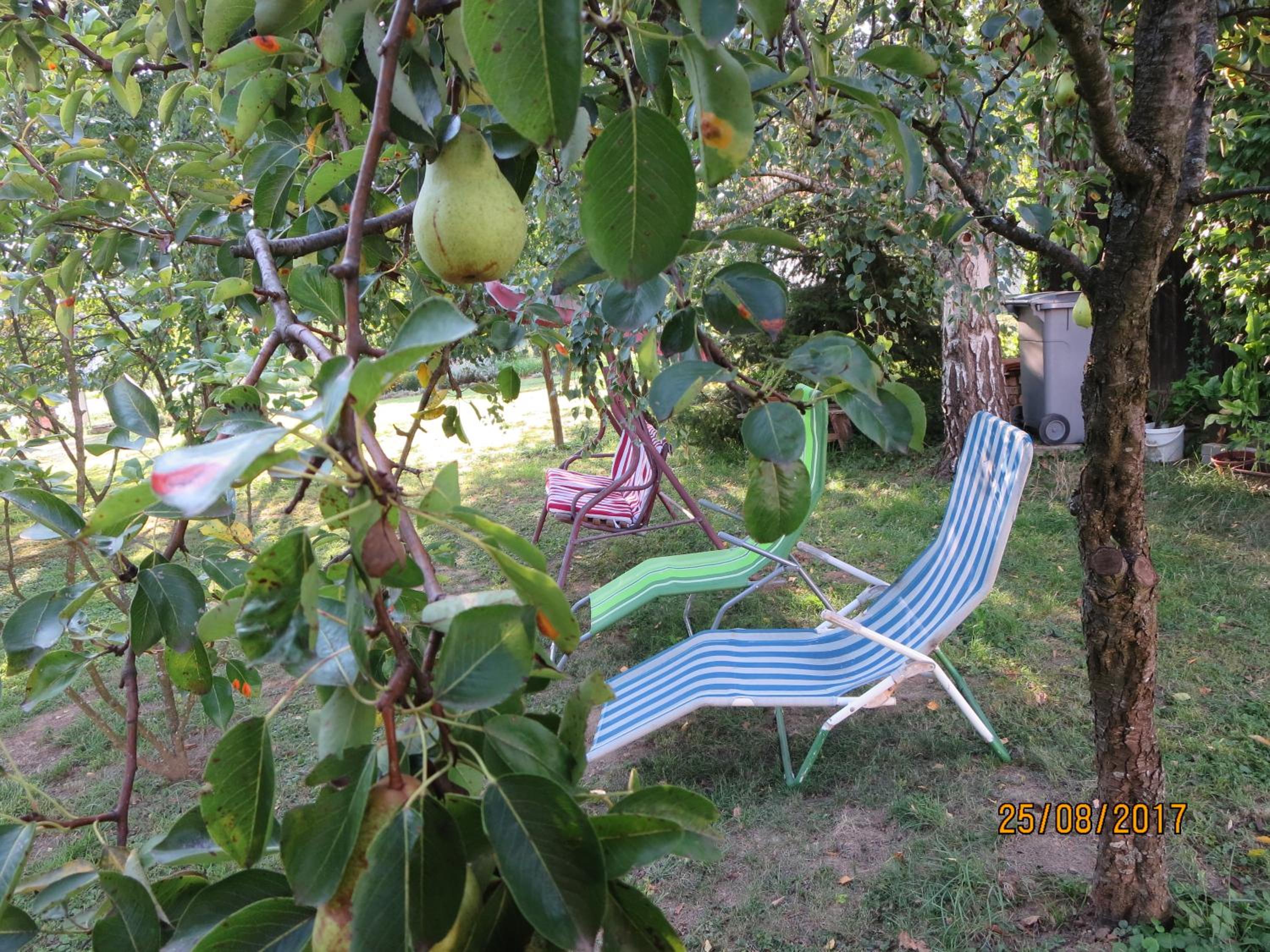 Photo 44
