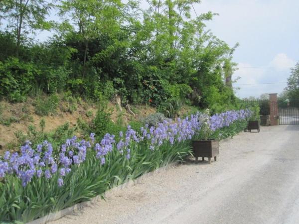 Photo 47