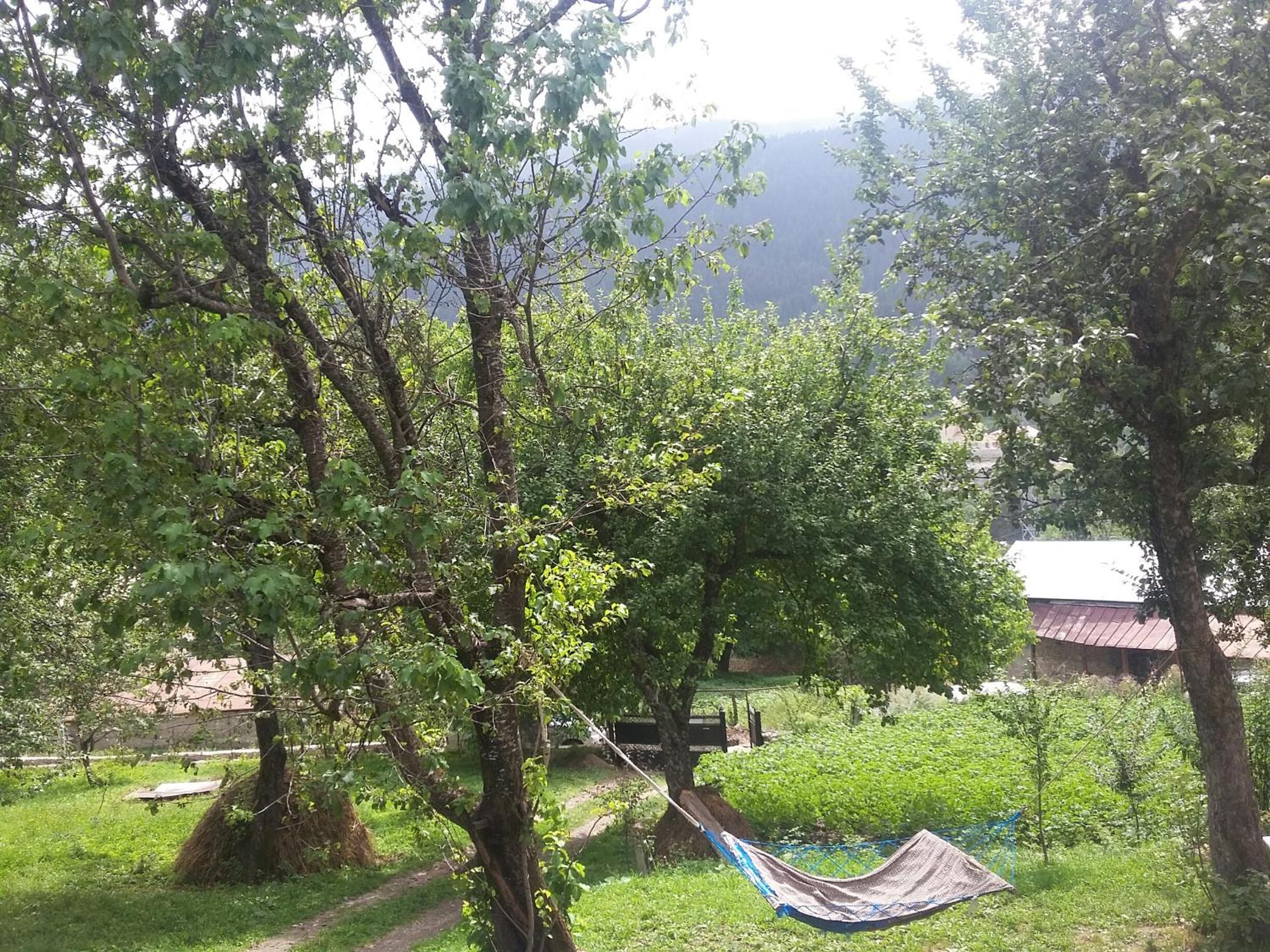 Guest House Adelina view 3