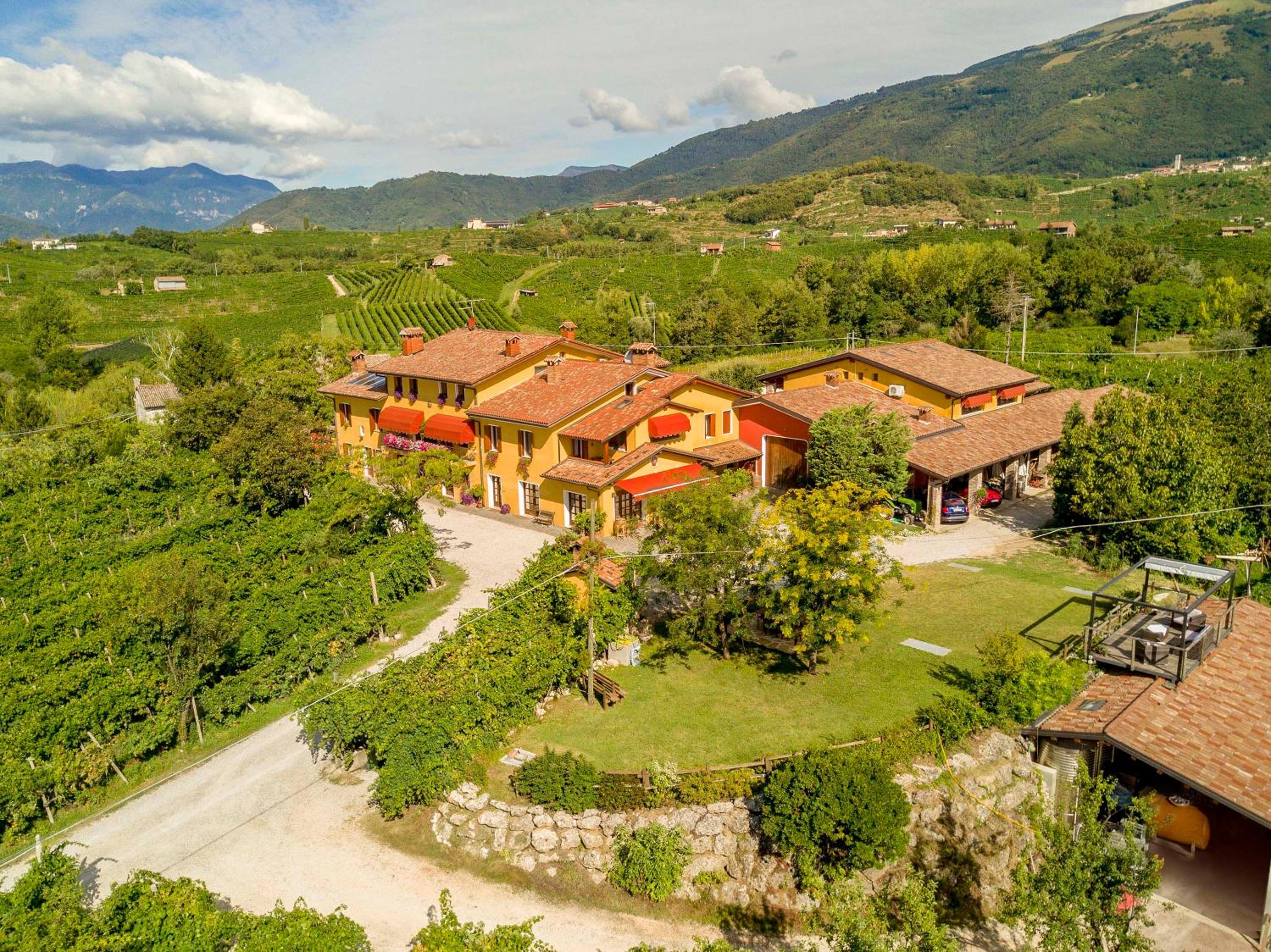 Azienda Agricola Campion view 3