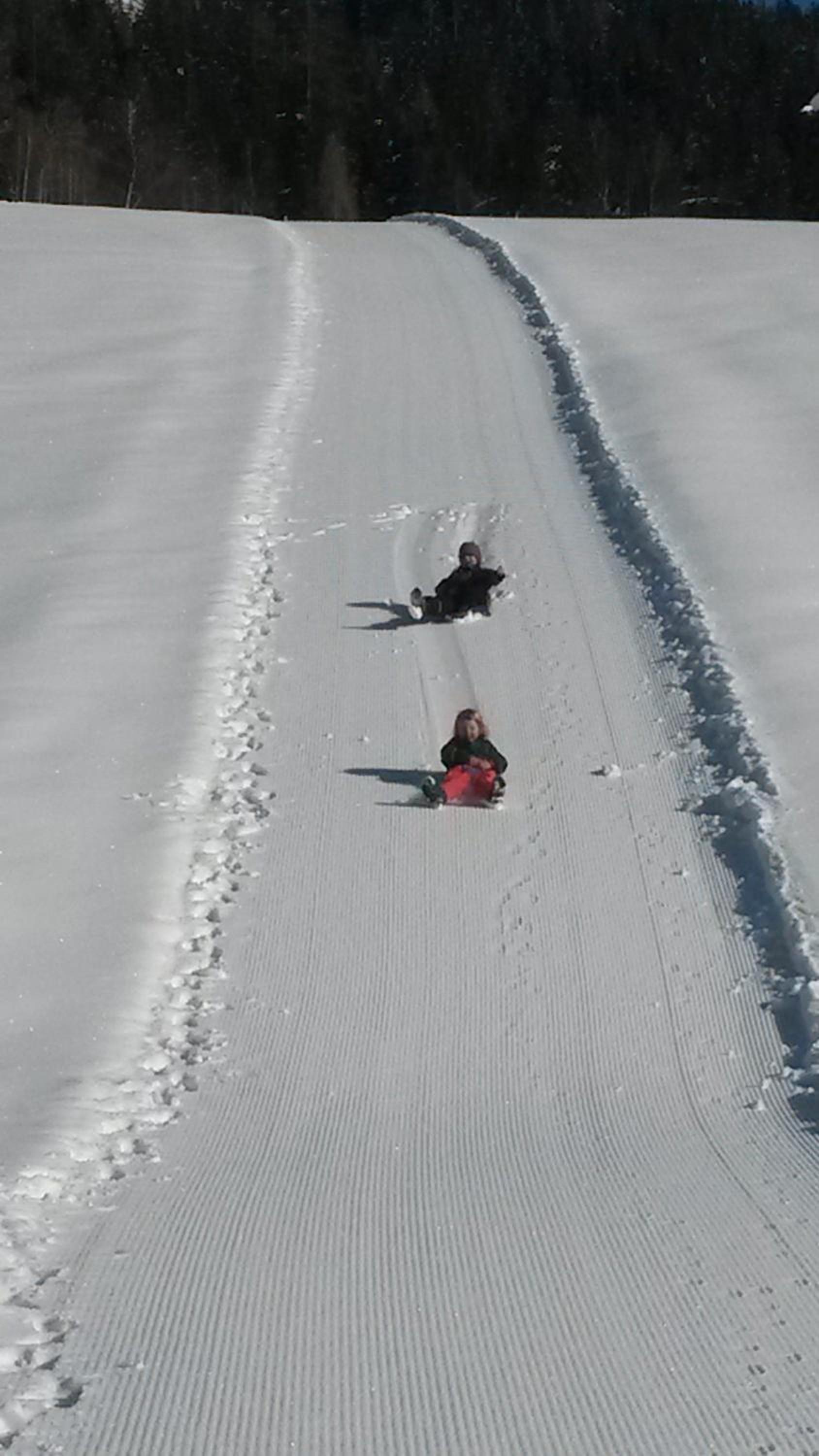 Photo 42