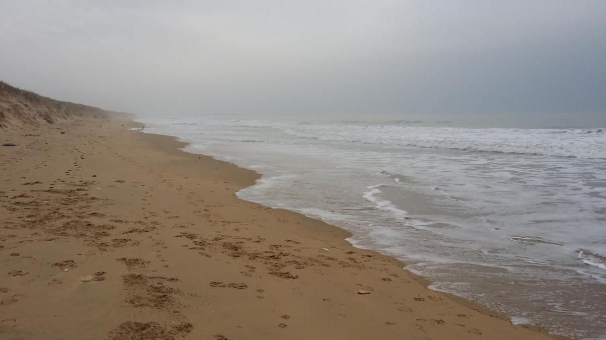 La Remigeasse photo 2
