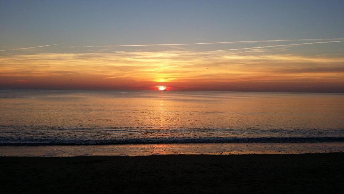 La Remigeasse photo 3