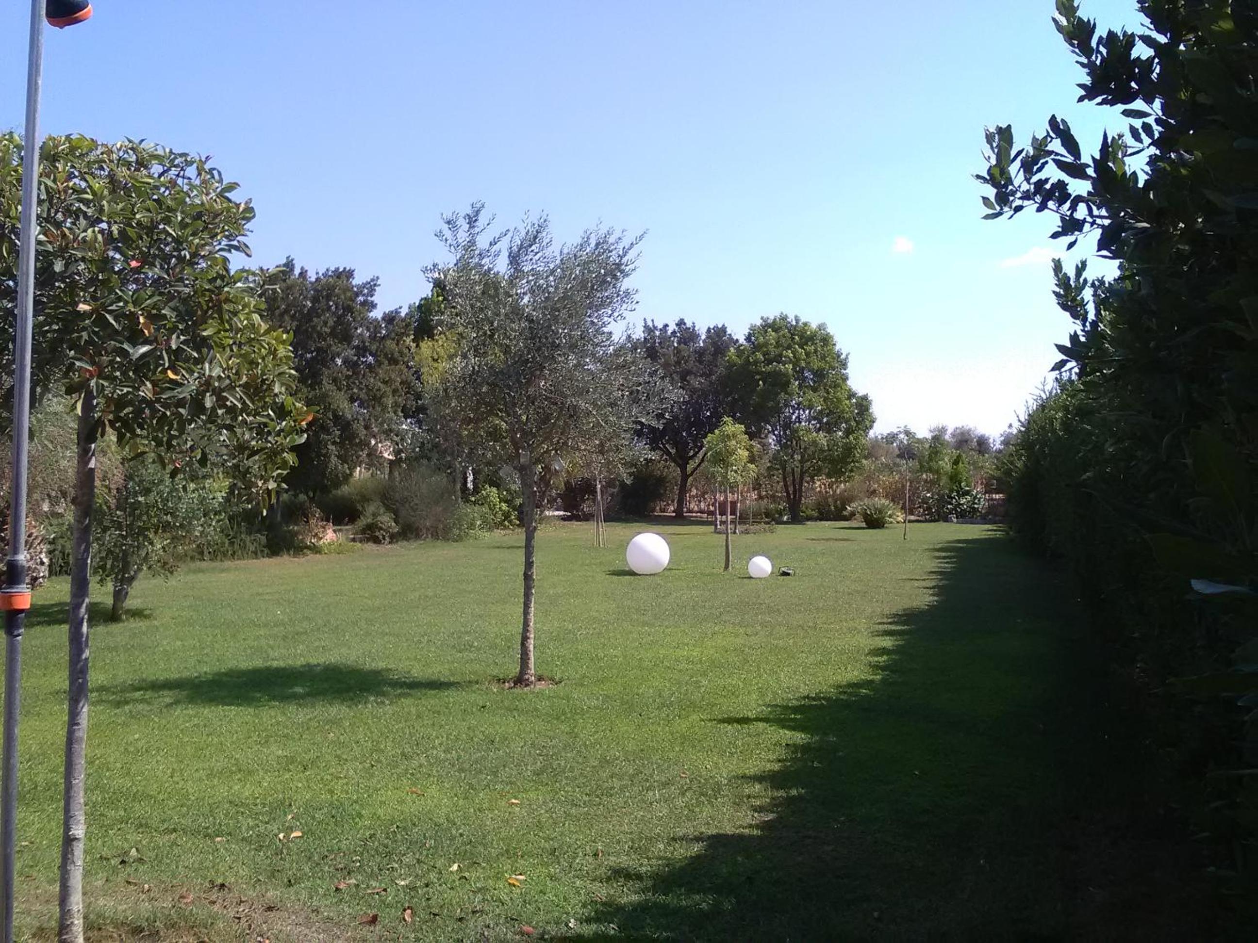Photo 52
