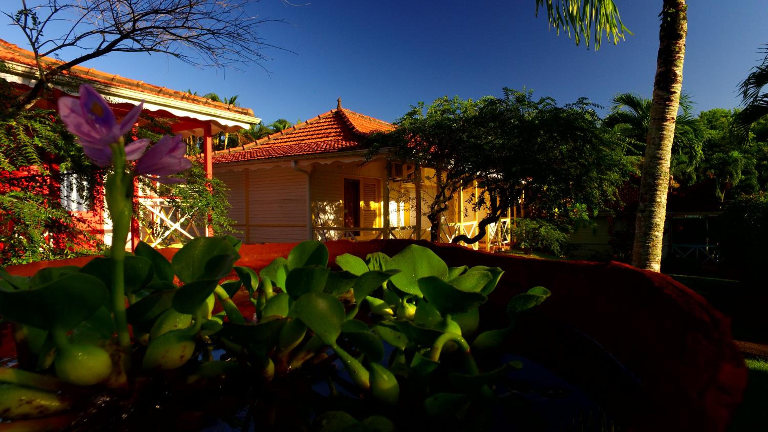 garden