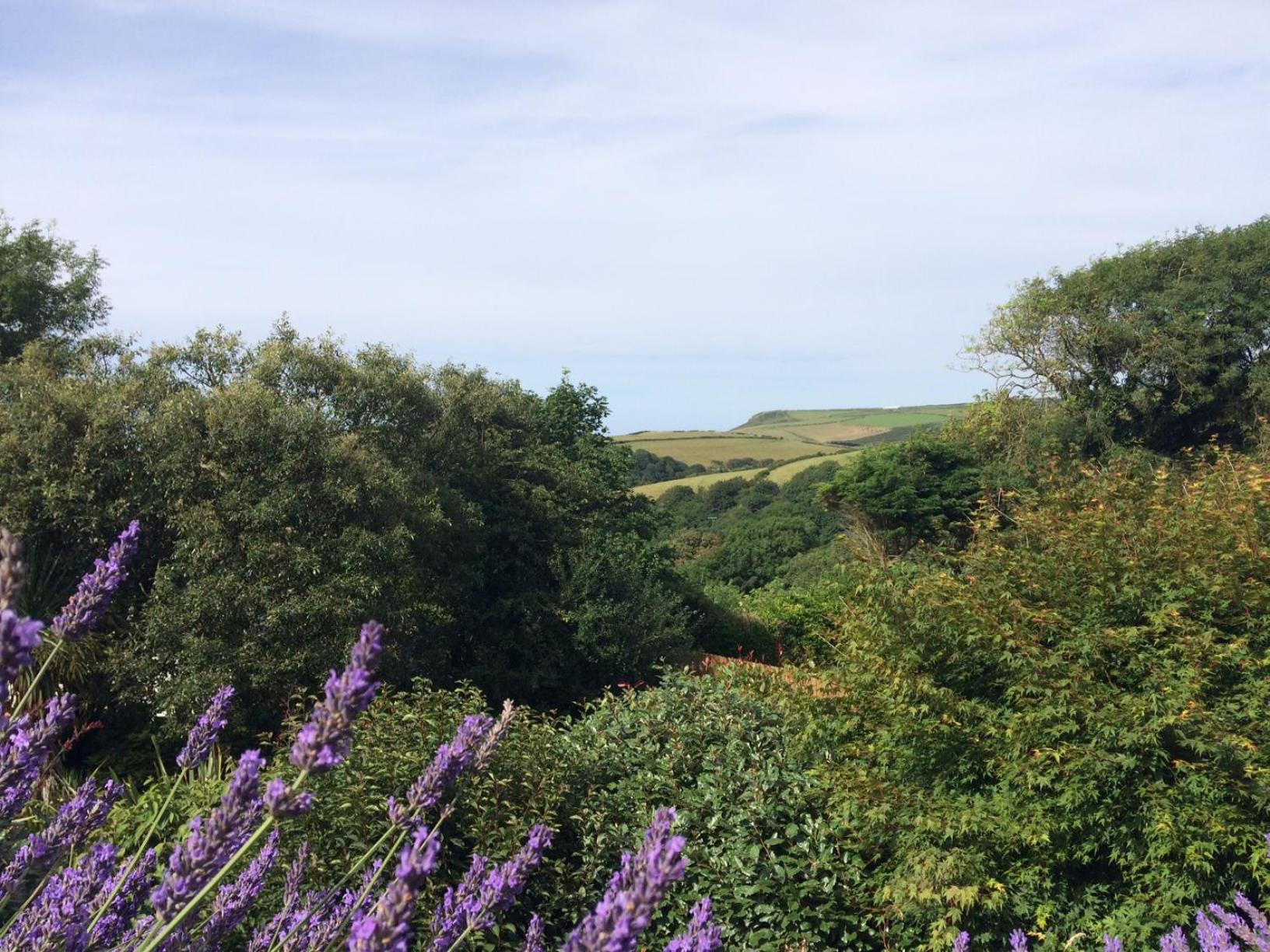 Boscastle House