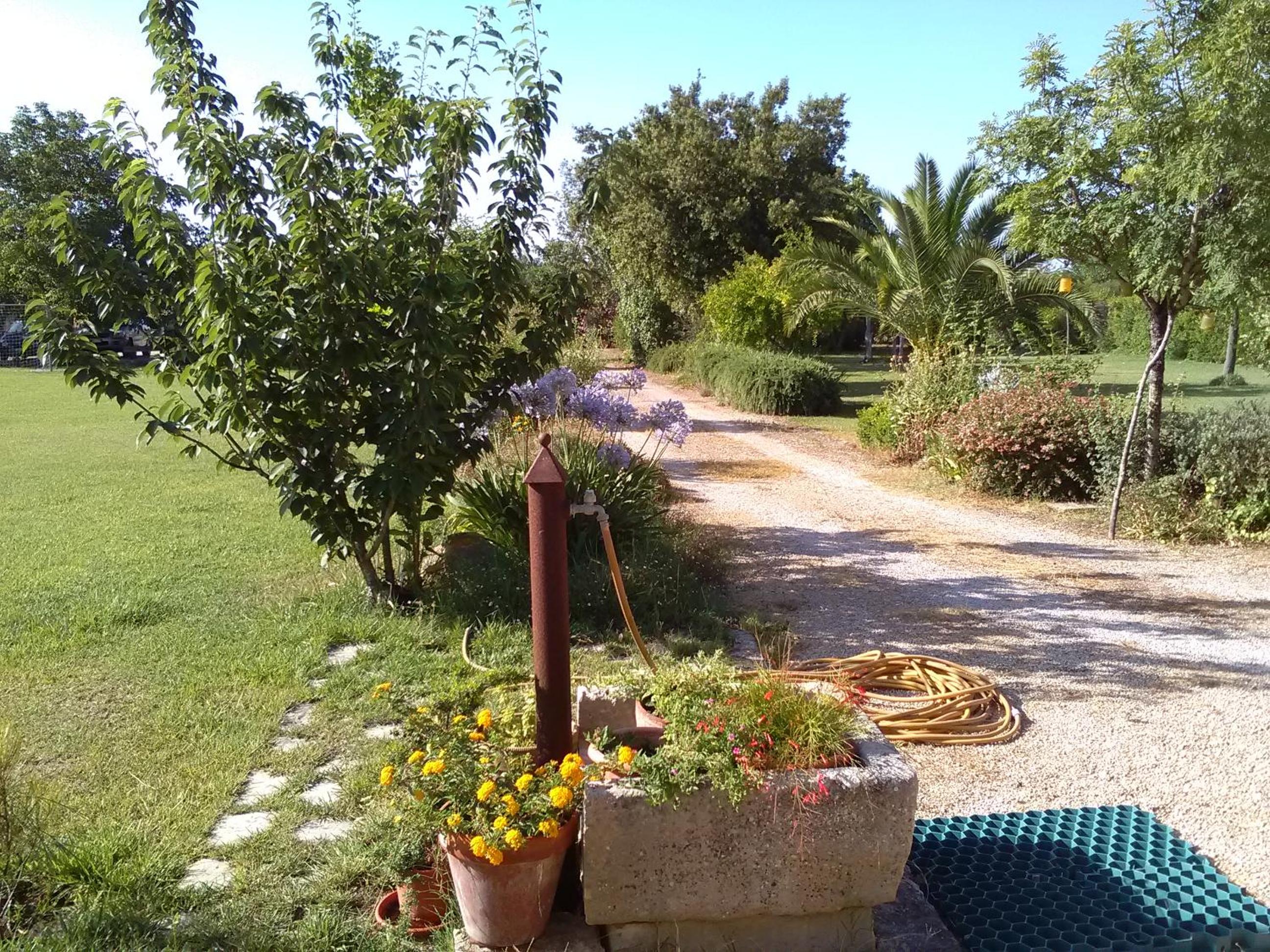 Photo 44
