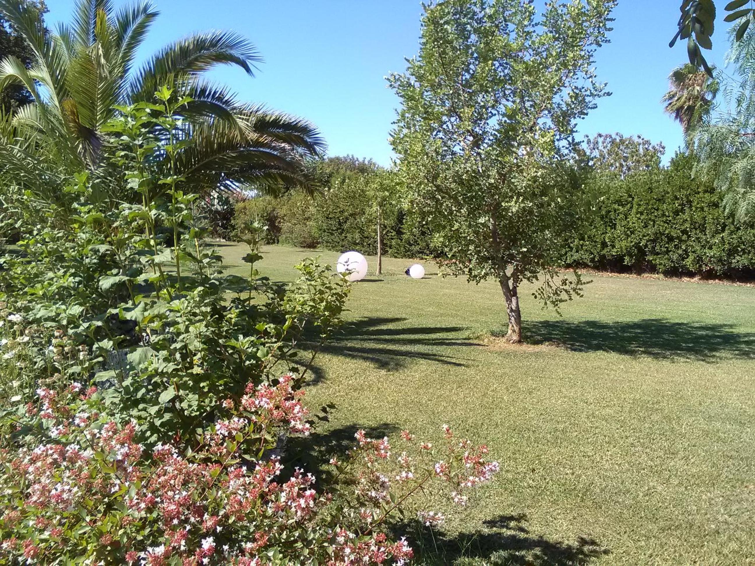 Photo 47