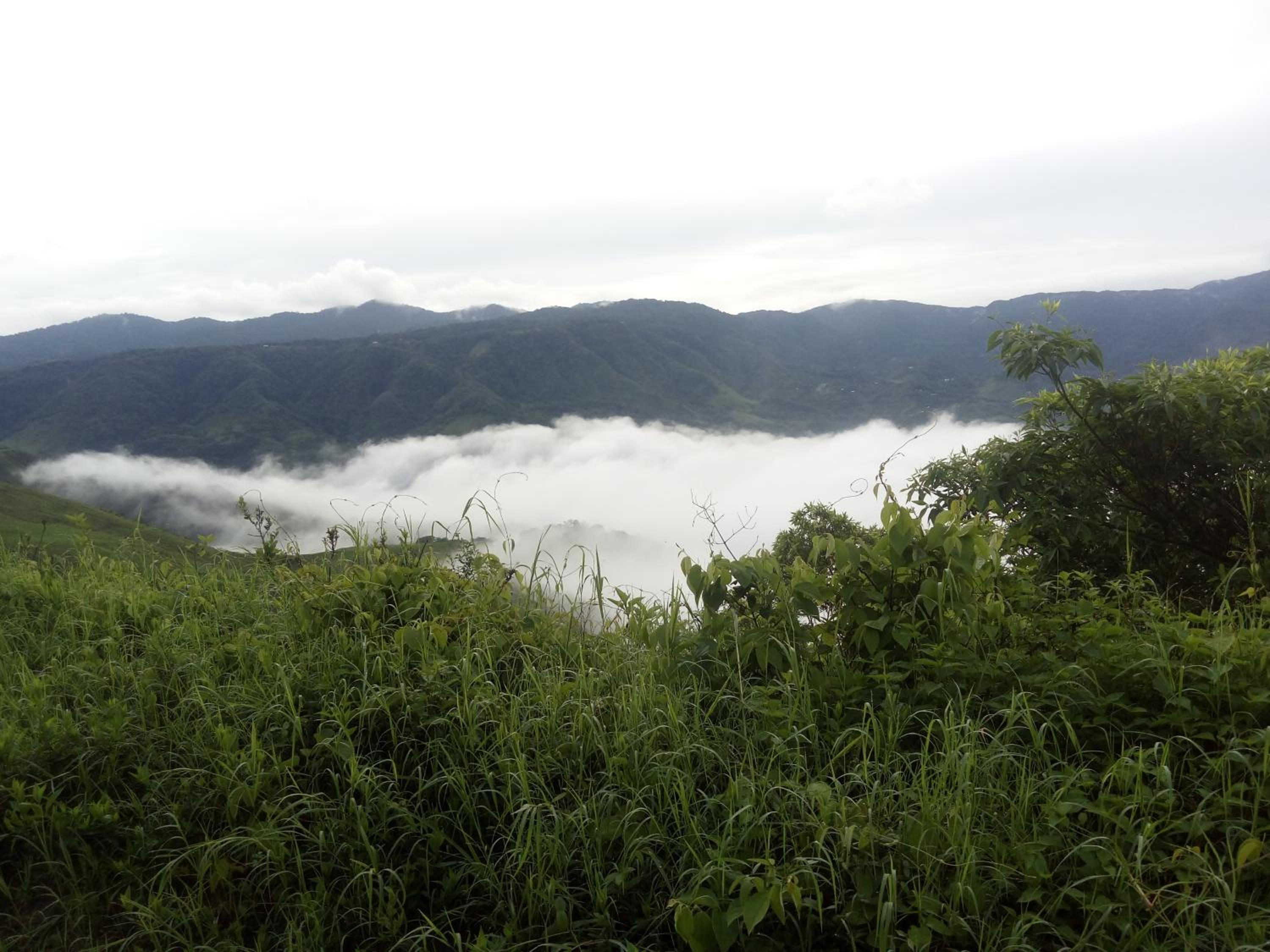 Monteverde Romantic Cabañas 5minutes mtv park