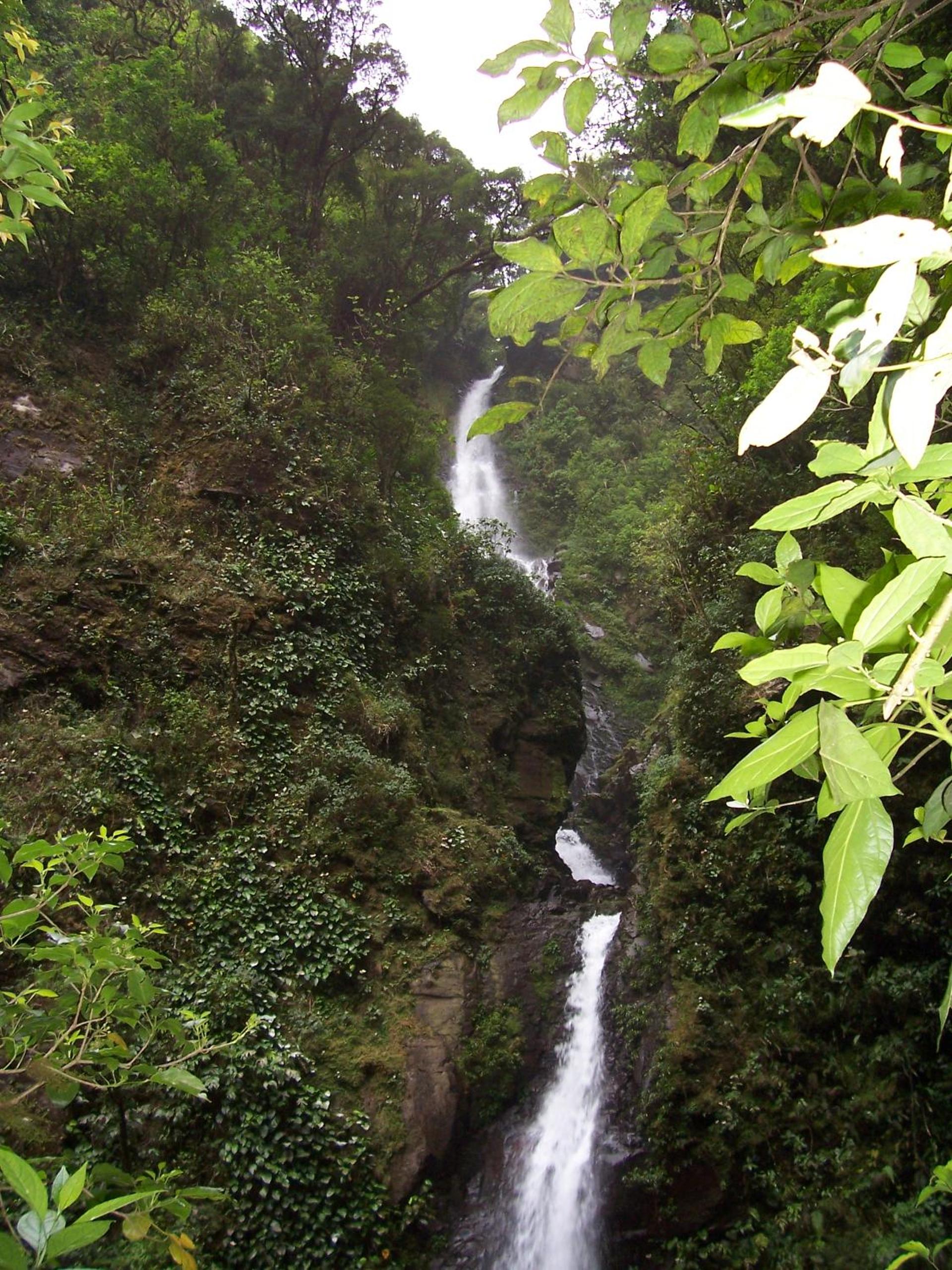 Monteverde Romantic Cabañas 5minutes mtv park