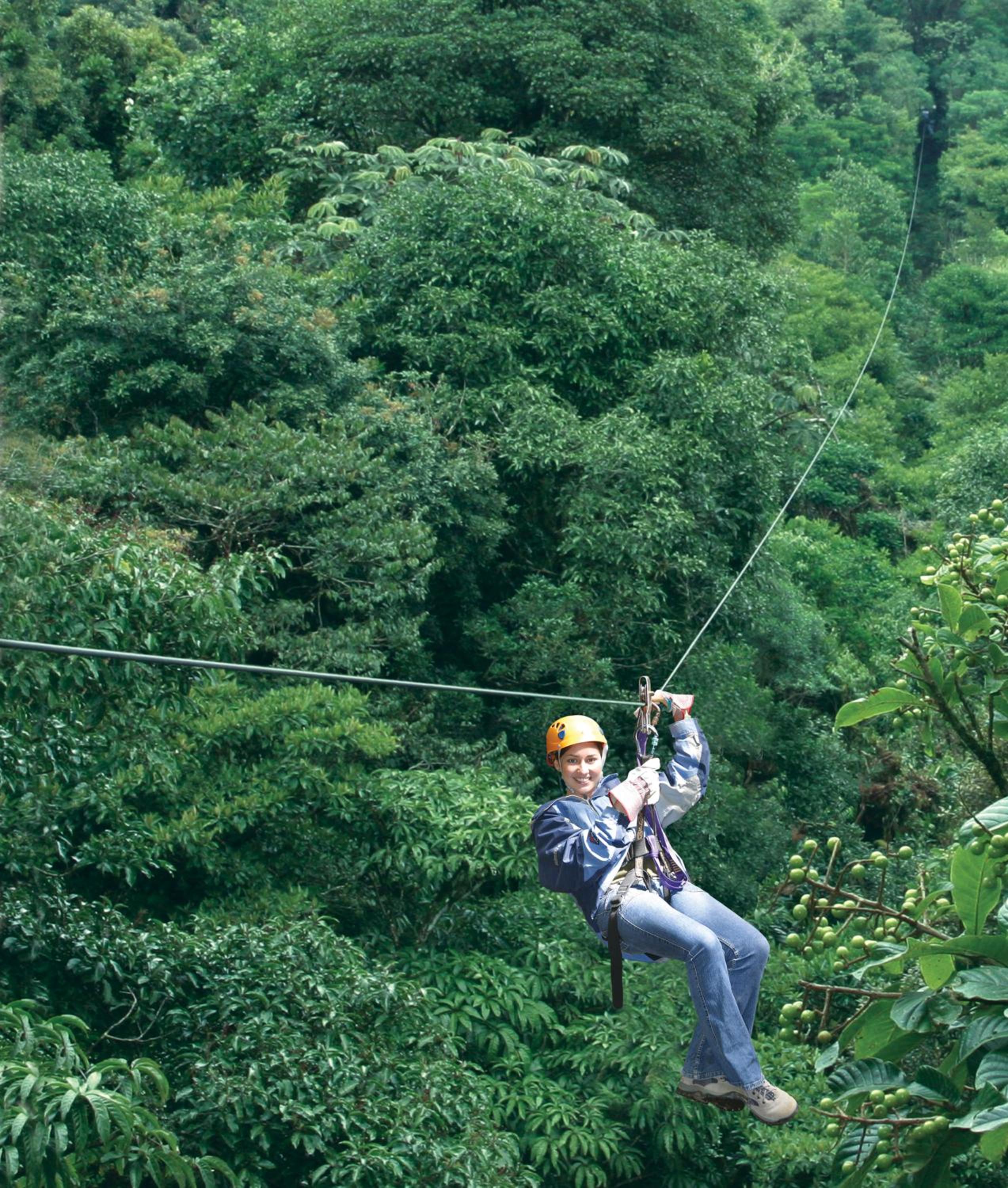 Monteverde Romantic Cabañas 5minutes mtv park