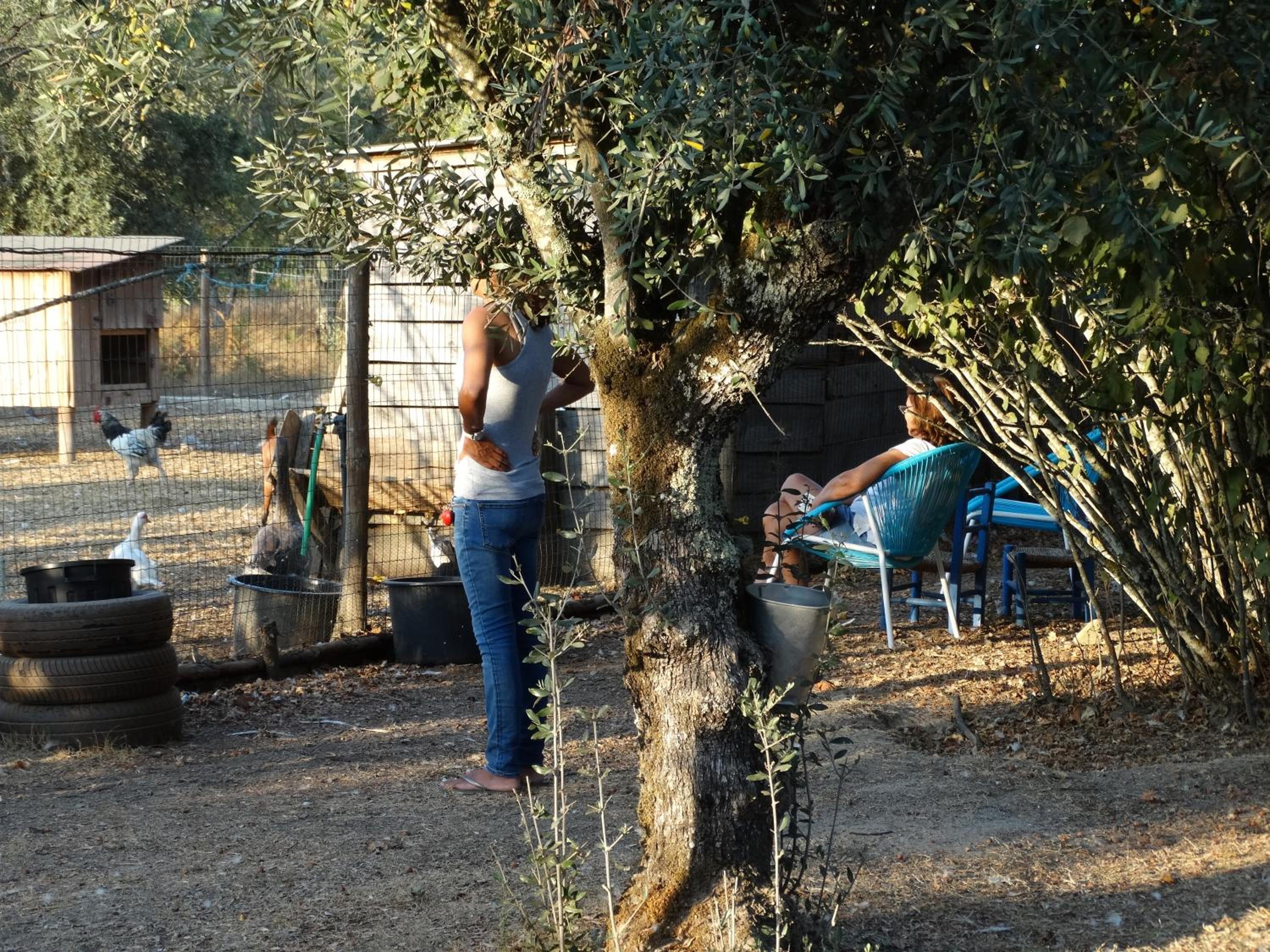 Casa Das Palmeiras-Pedagogic Farm