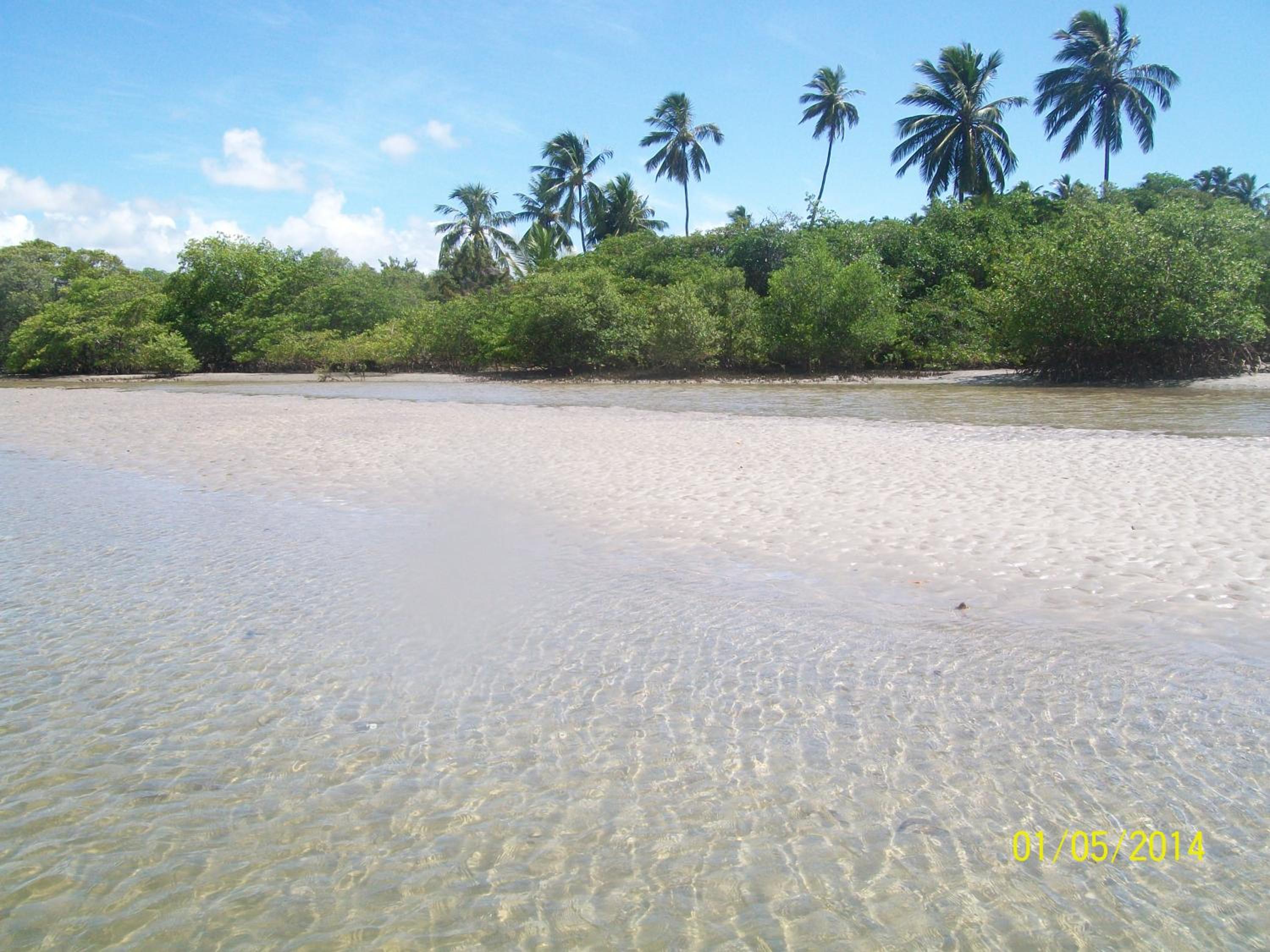 Photo 23