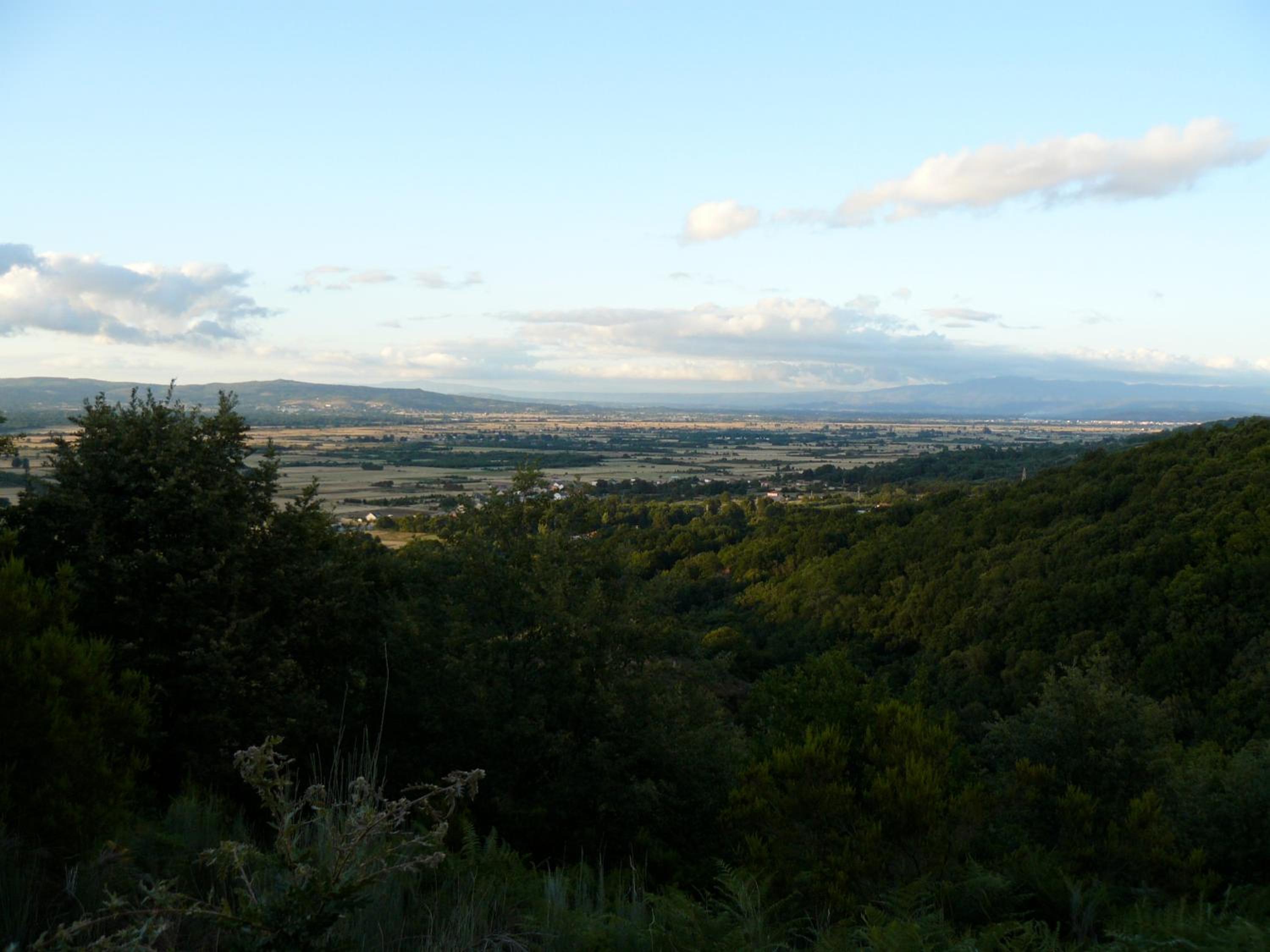 Photo 50