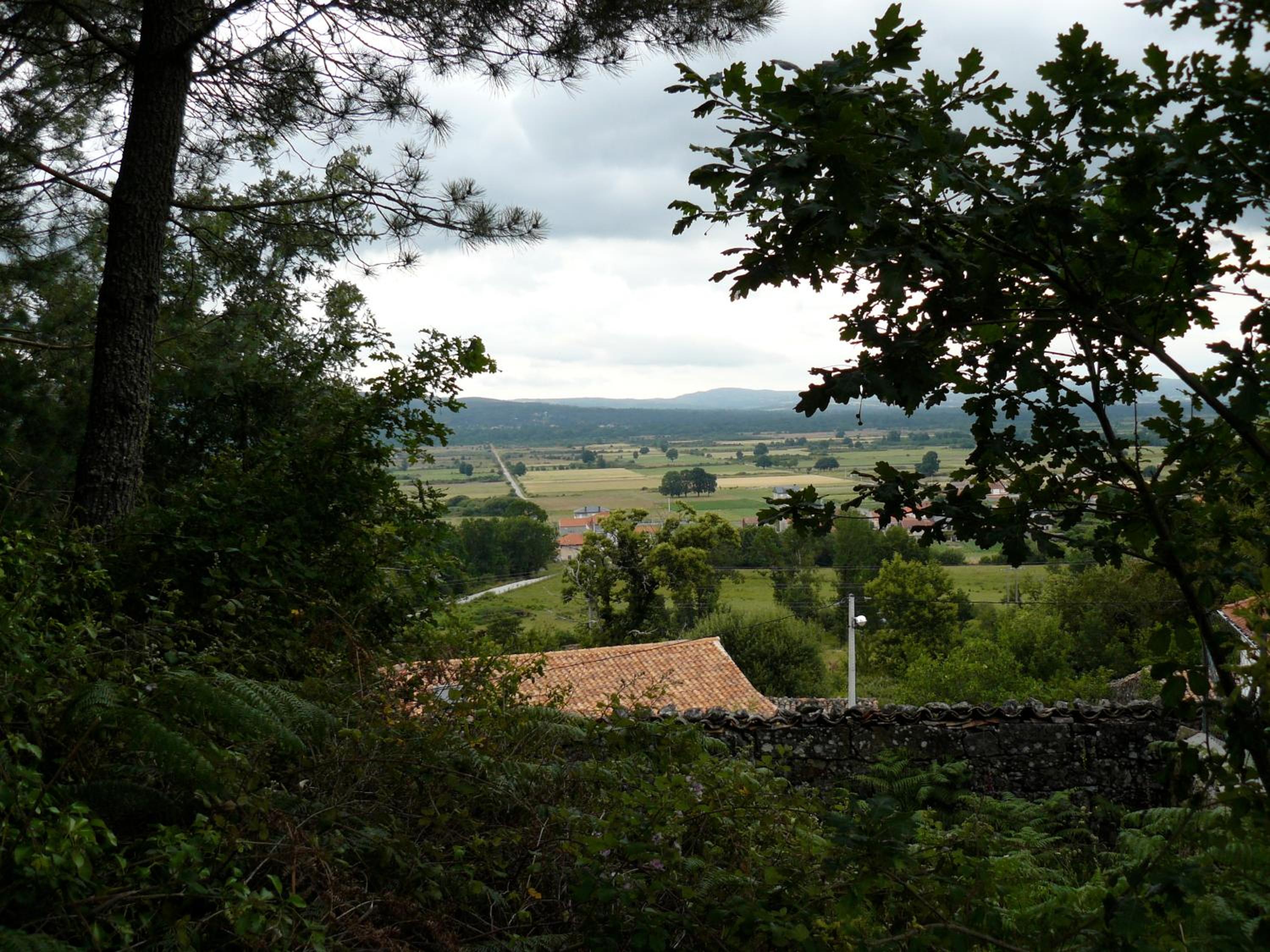 Photo 49