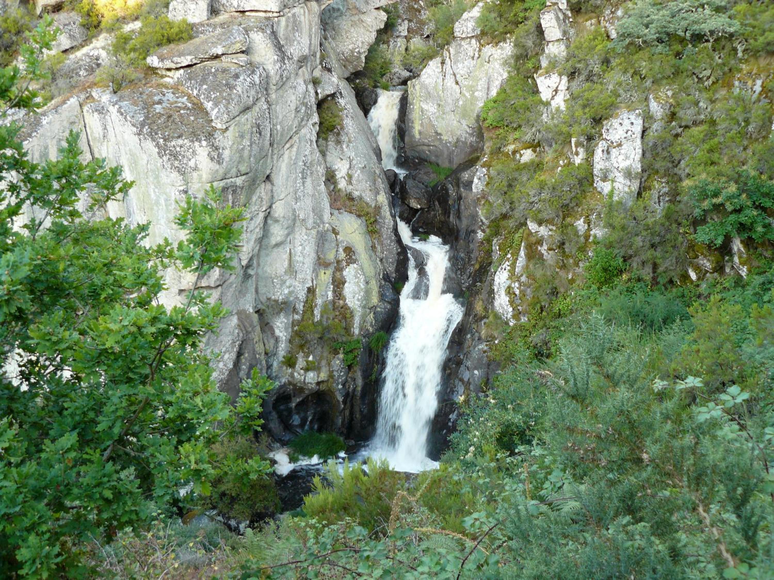 Photo 46