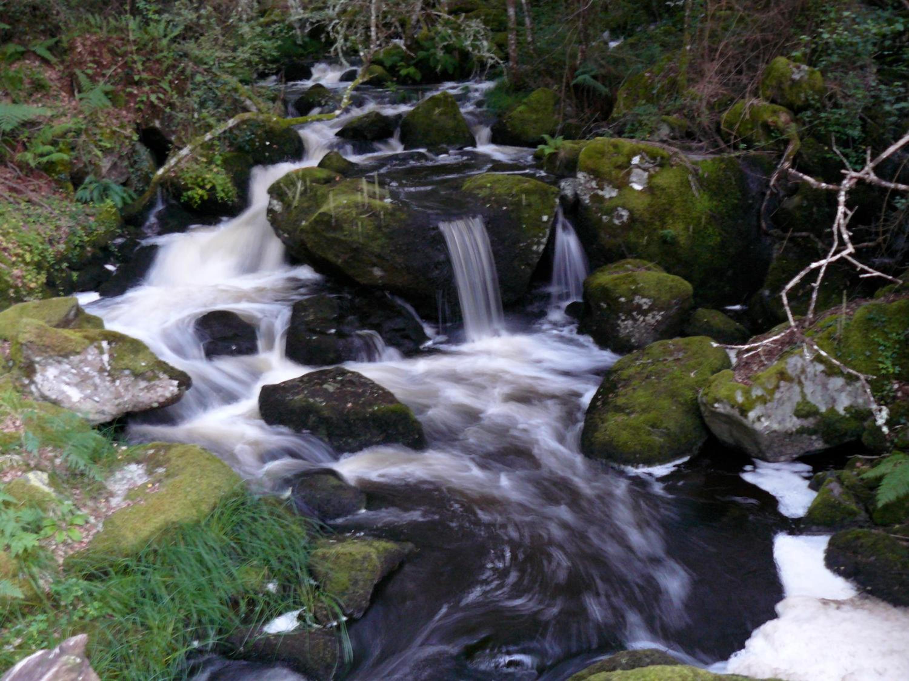 Photo 47
