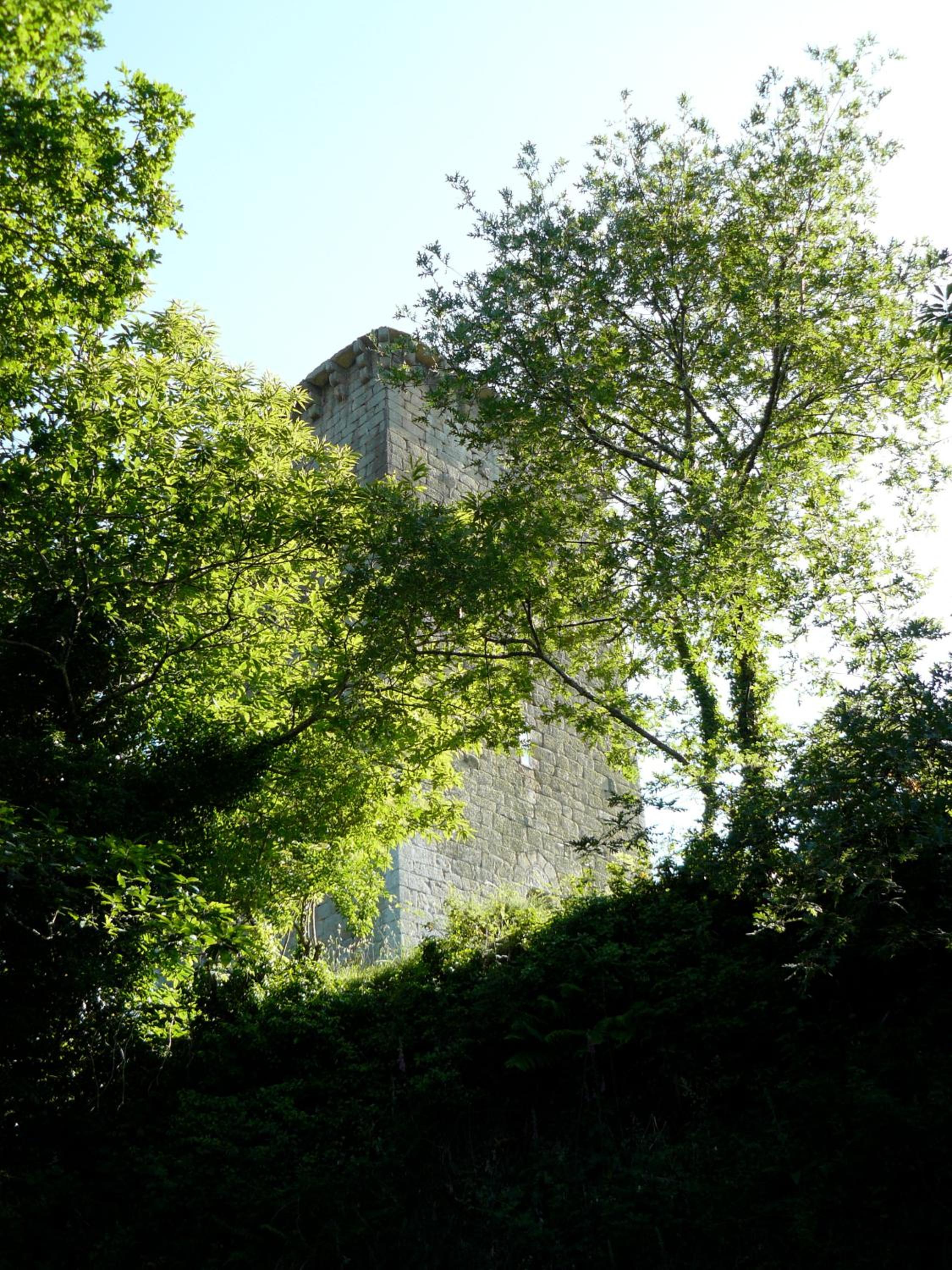 Photo 45