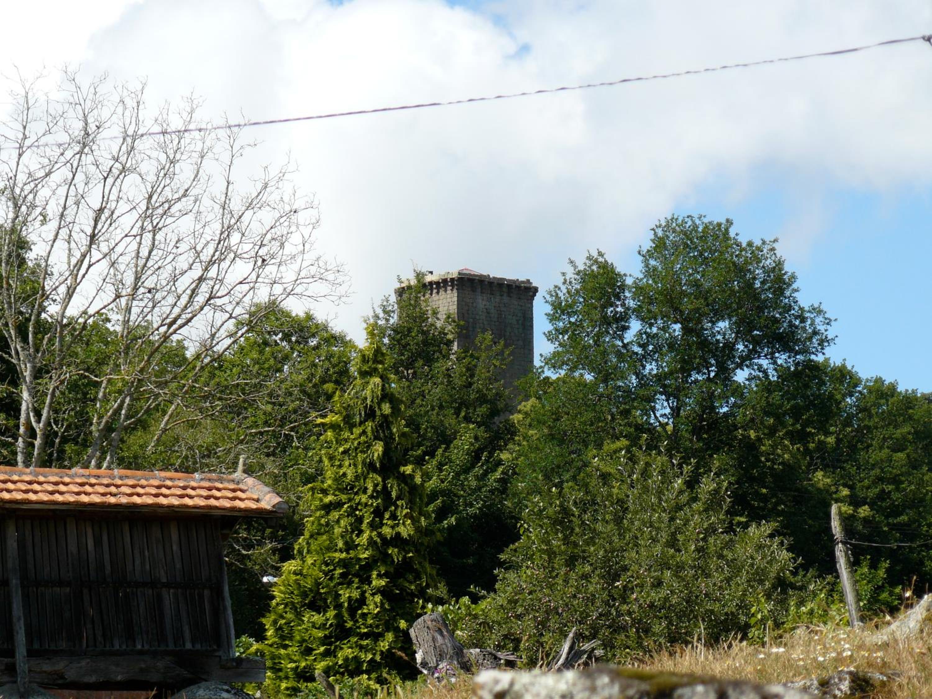Photo 40