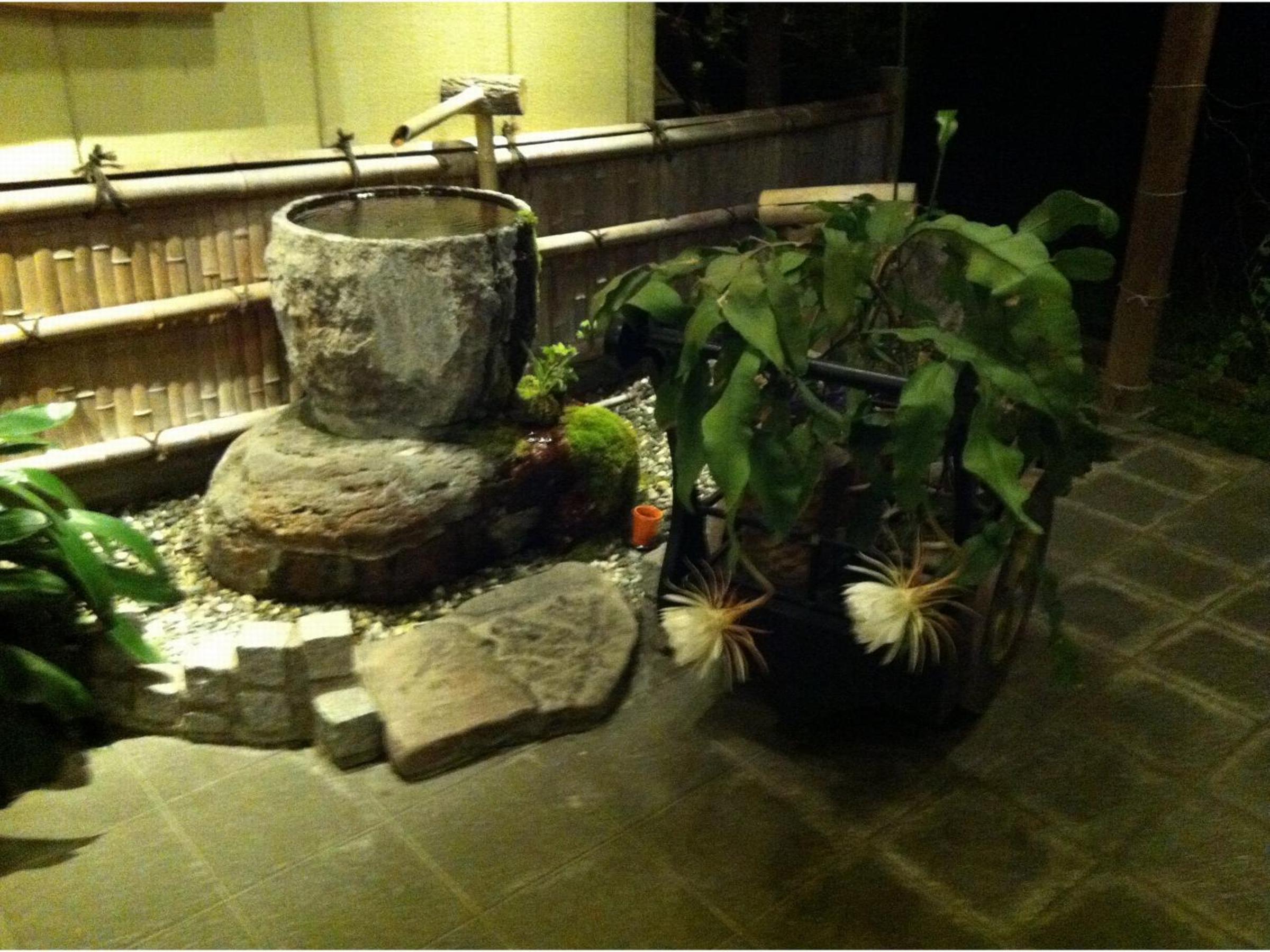 Photo 27