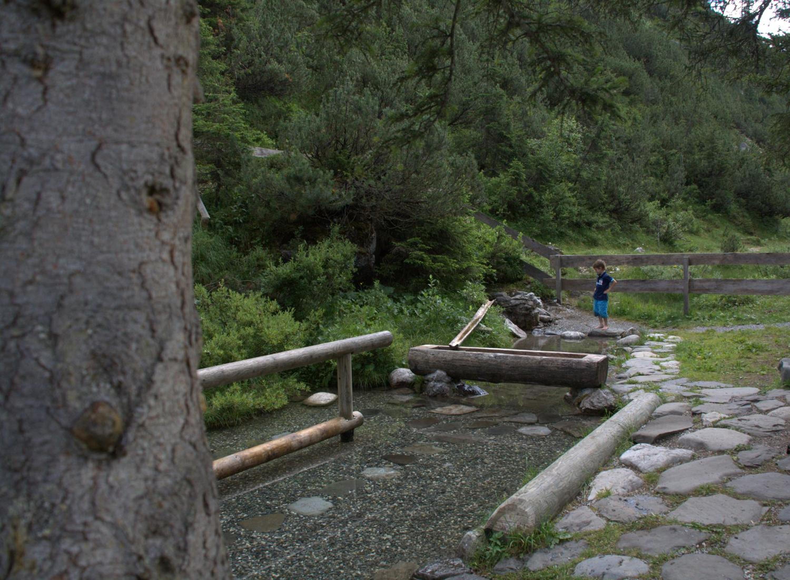 Photo 40