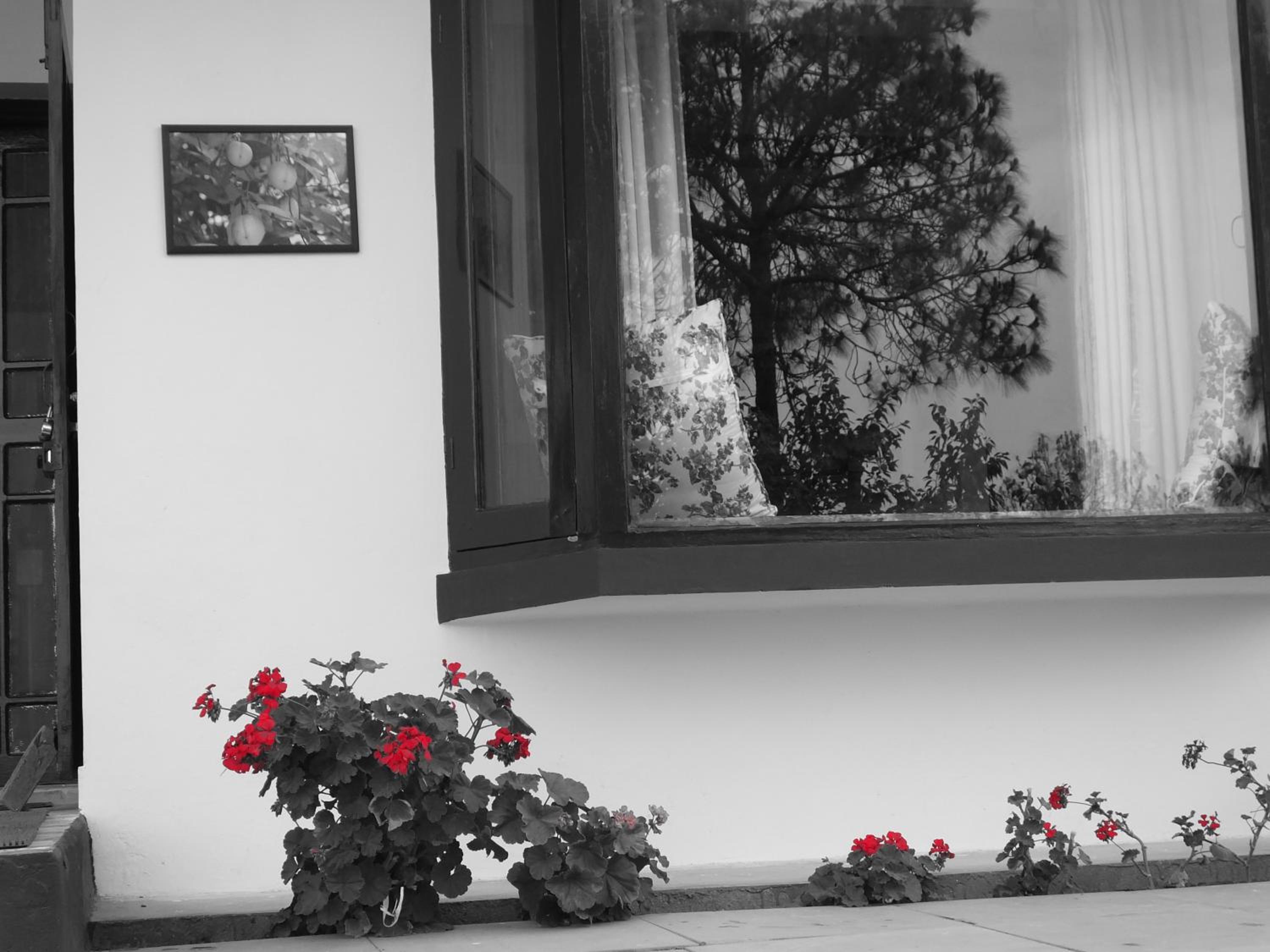 Photo 25