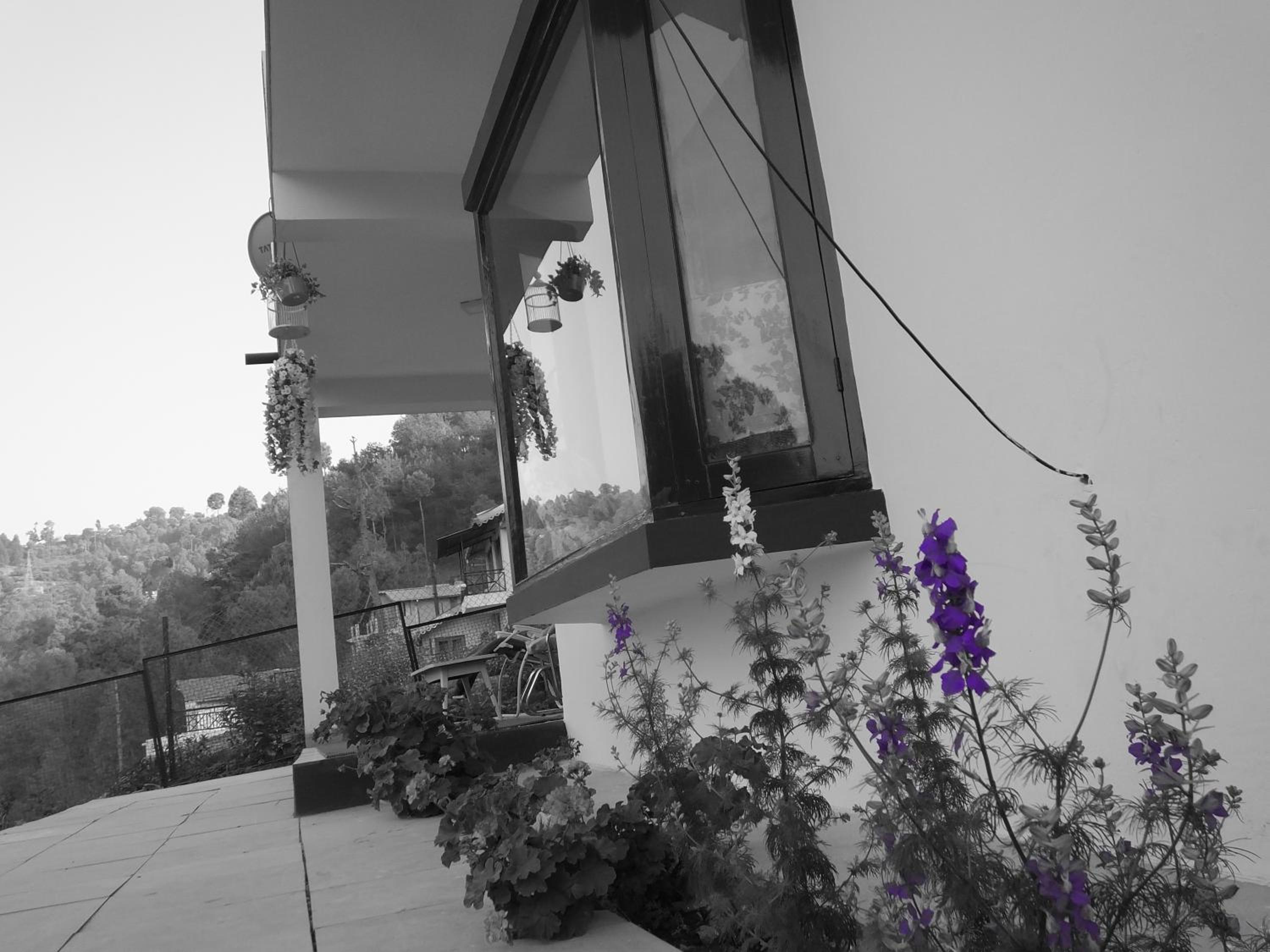 Photo 31