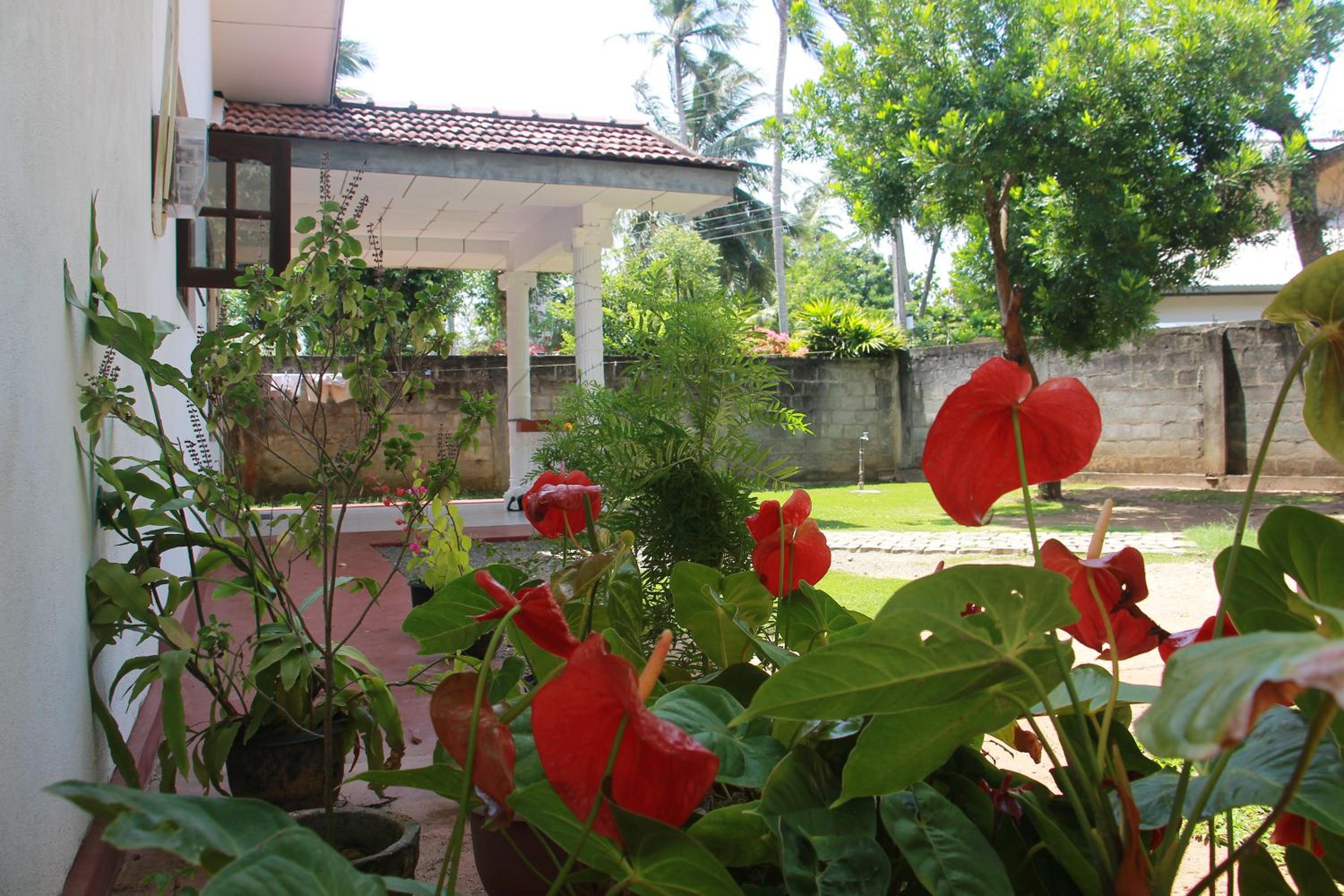 Photo 21