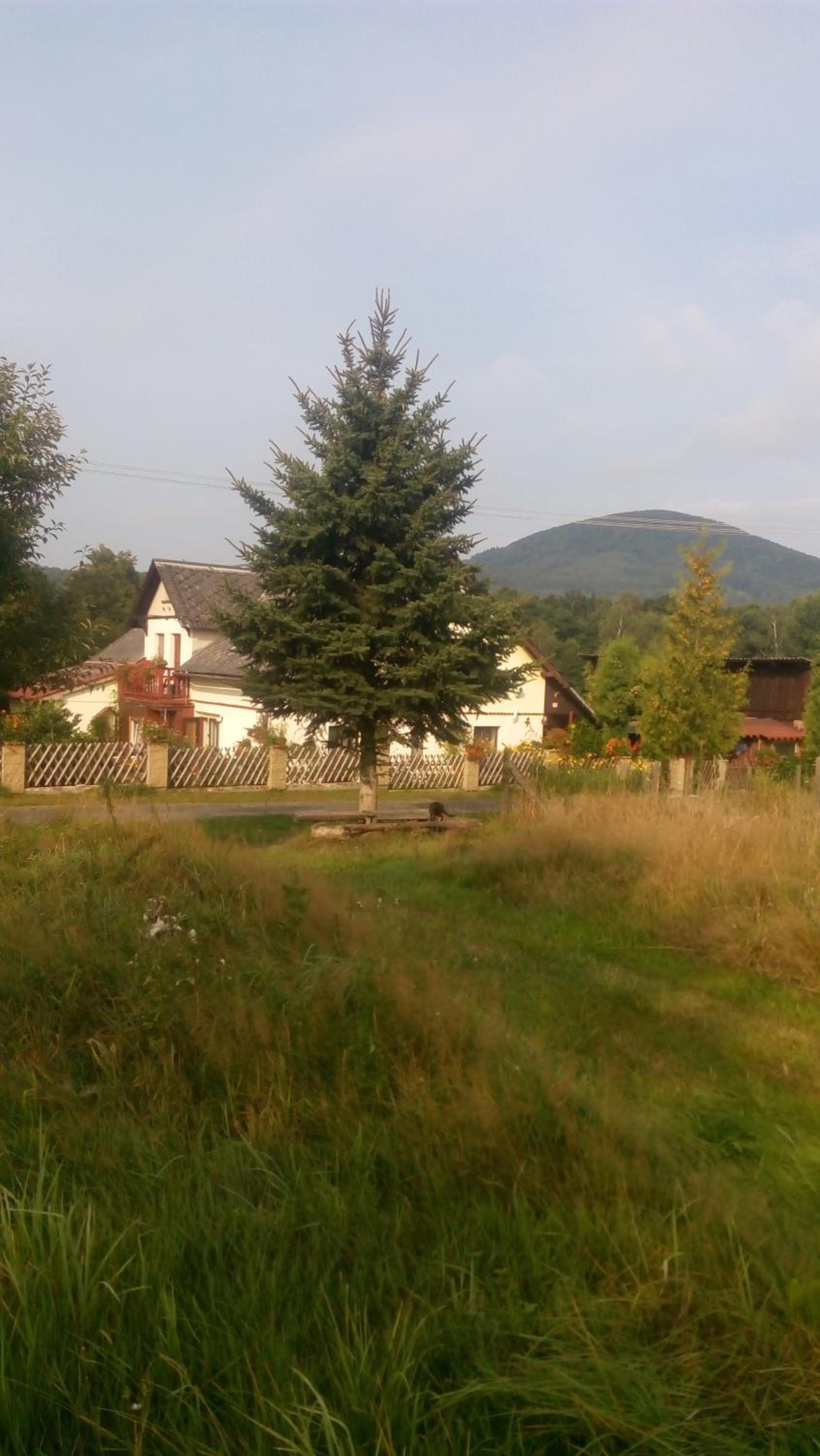 U Tří Koček