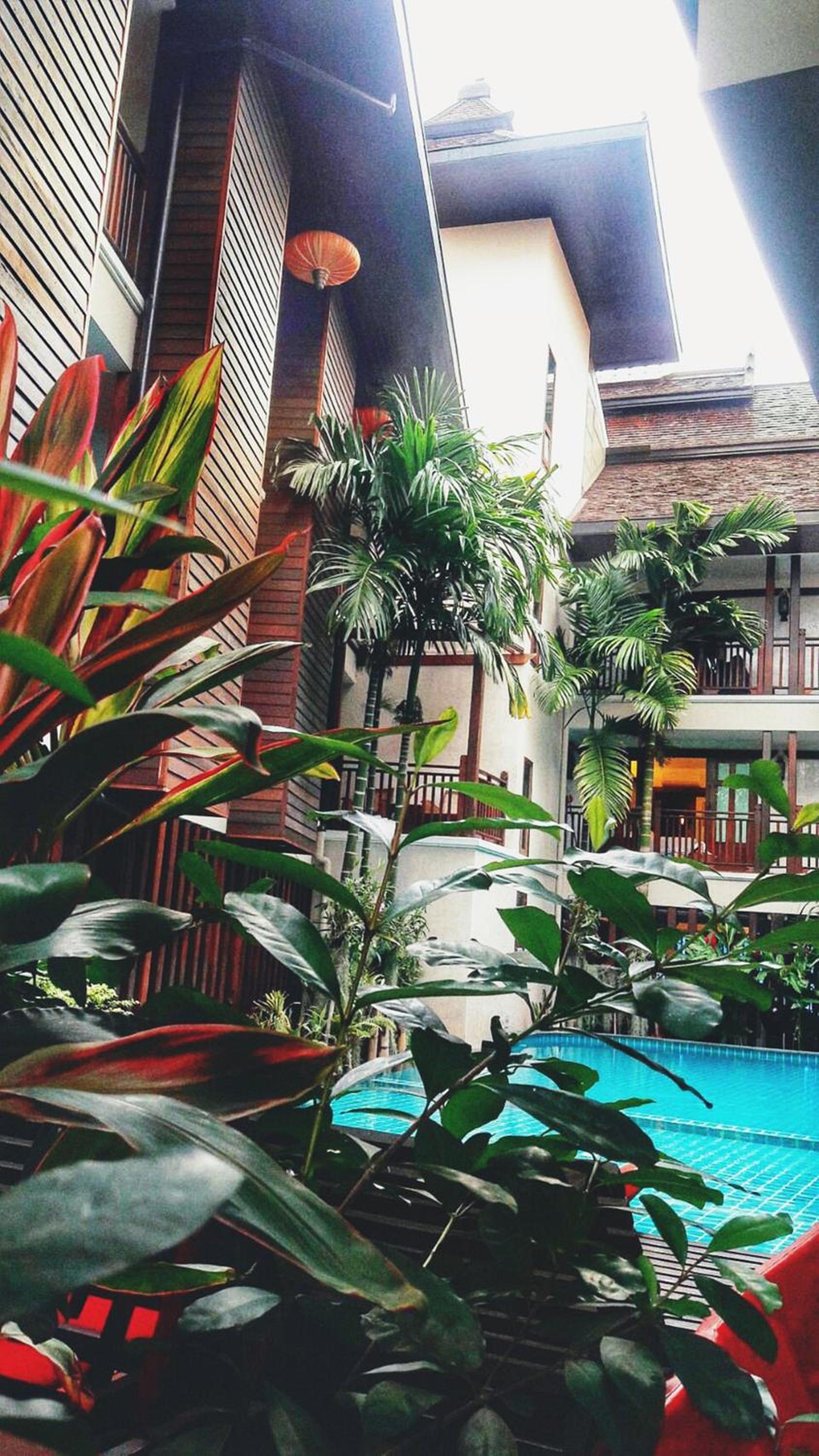 Viang Thapae Resort
