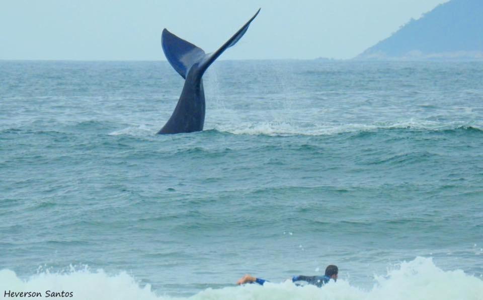 Tranquilidade na Praia da Gamboa