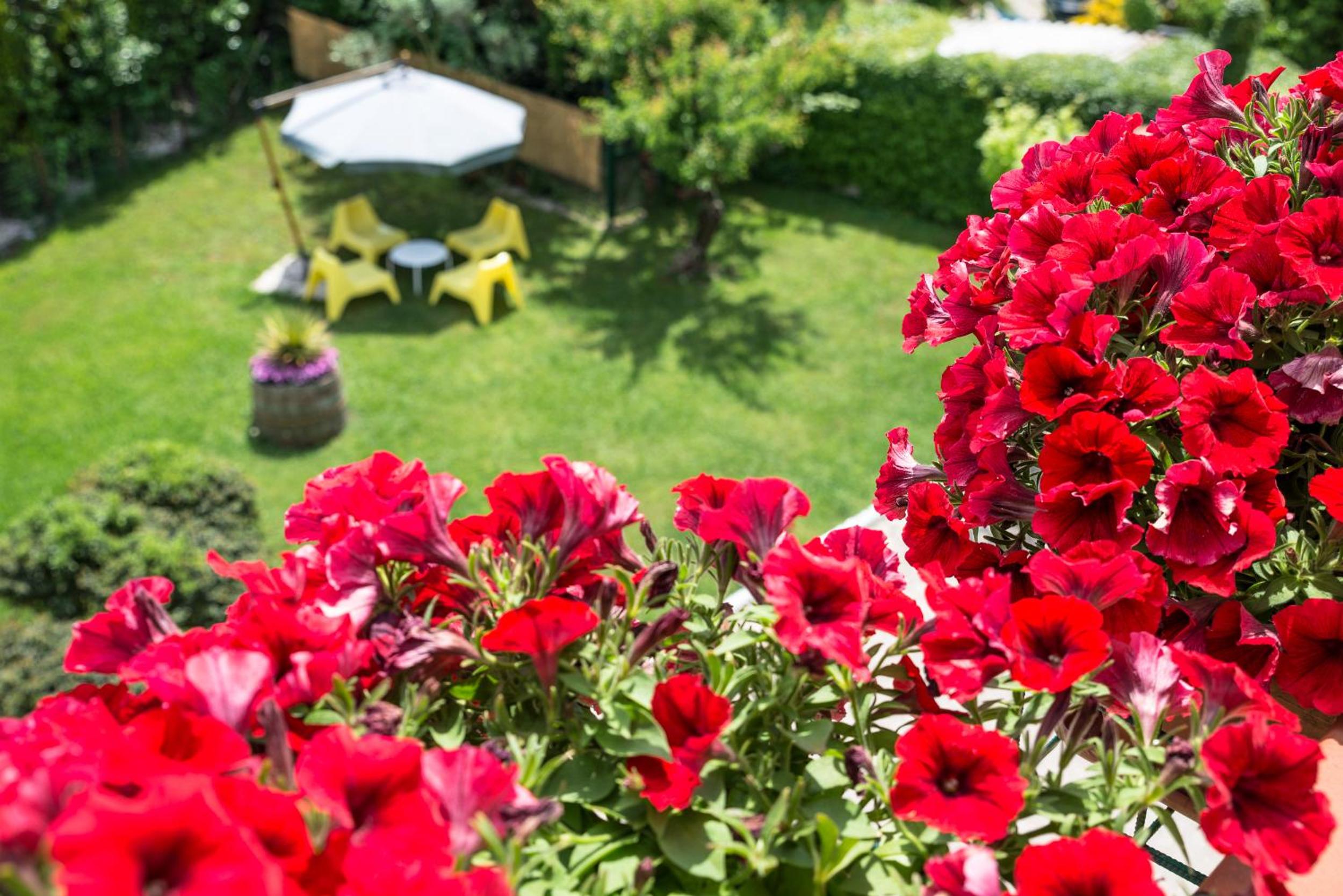 B&B Il Girasole