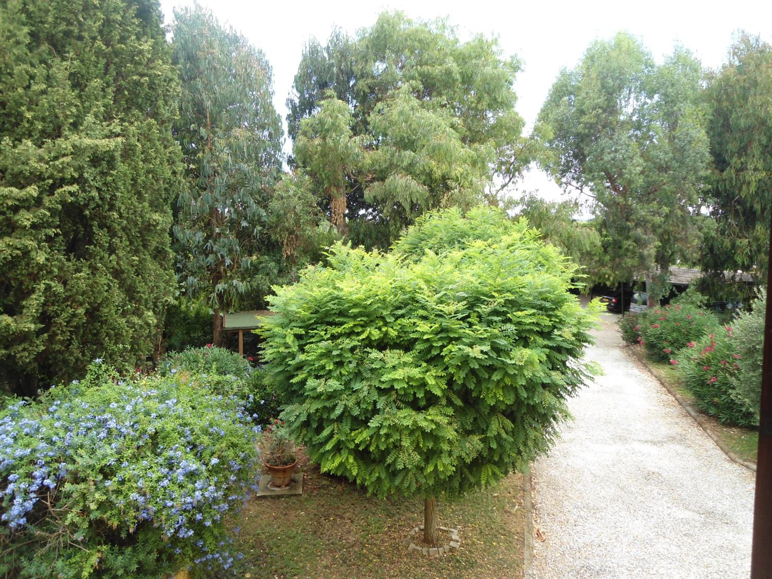Photo 29