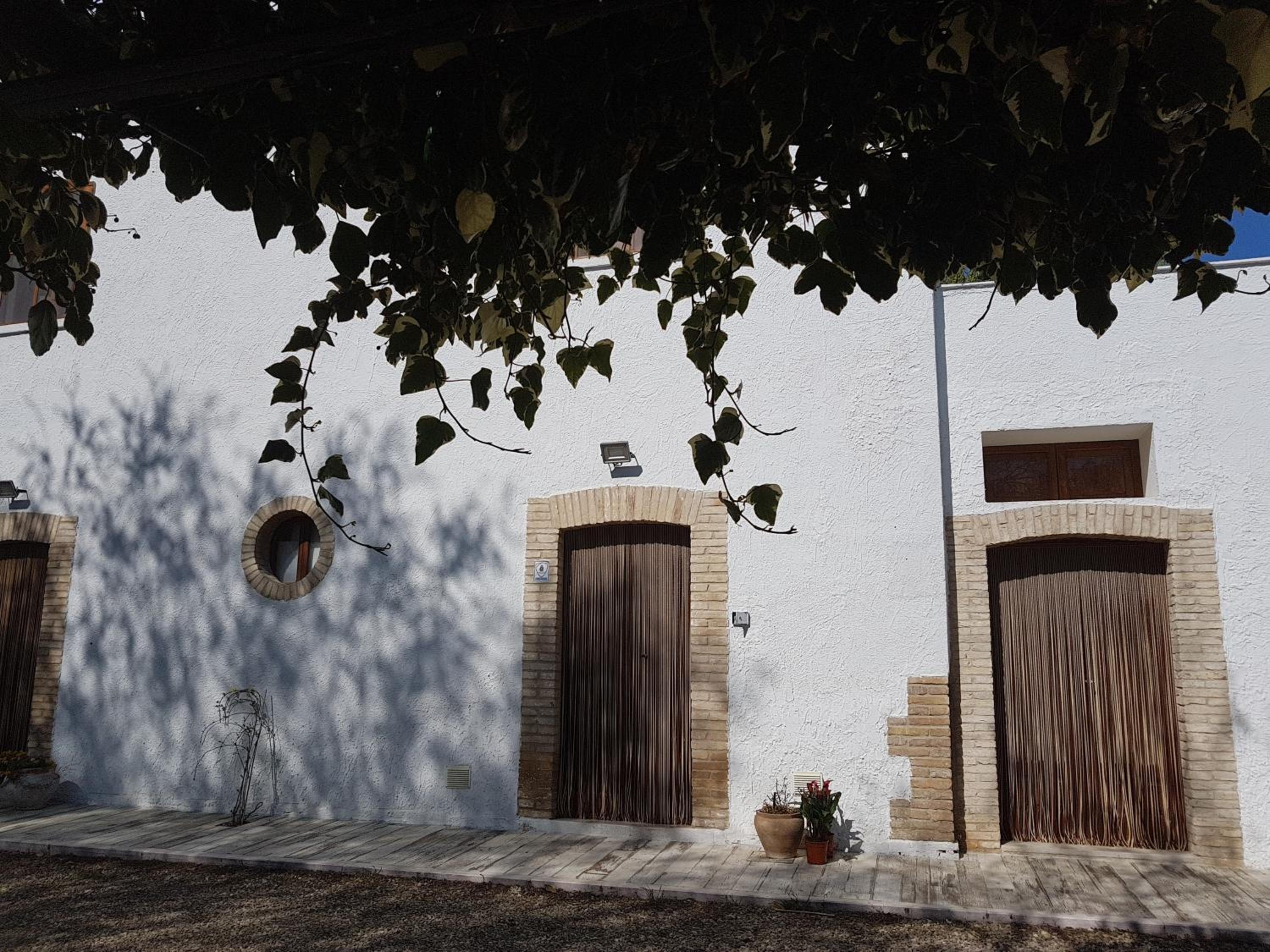 Photo 42